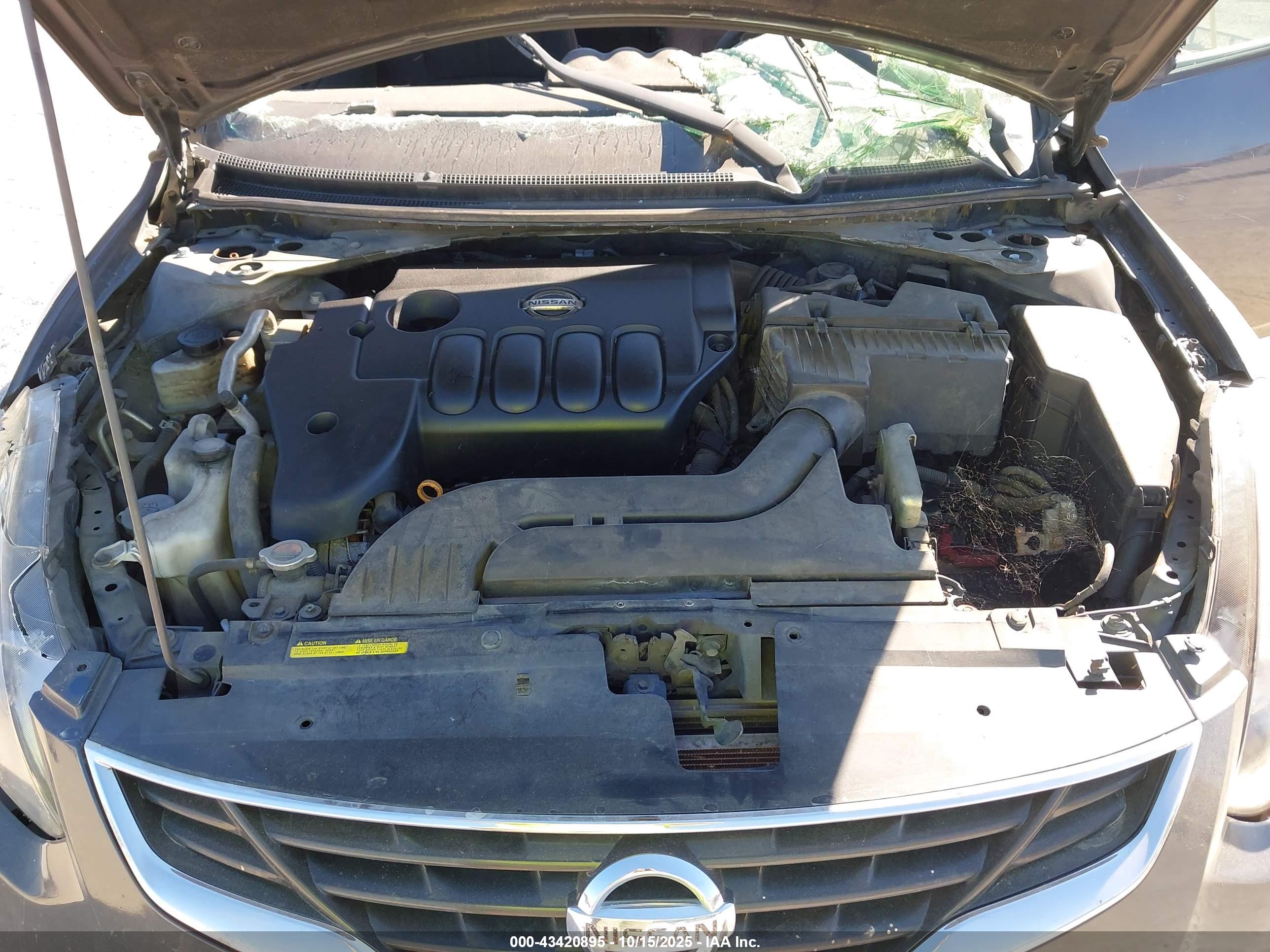 NISSAN ALTIMA image 10