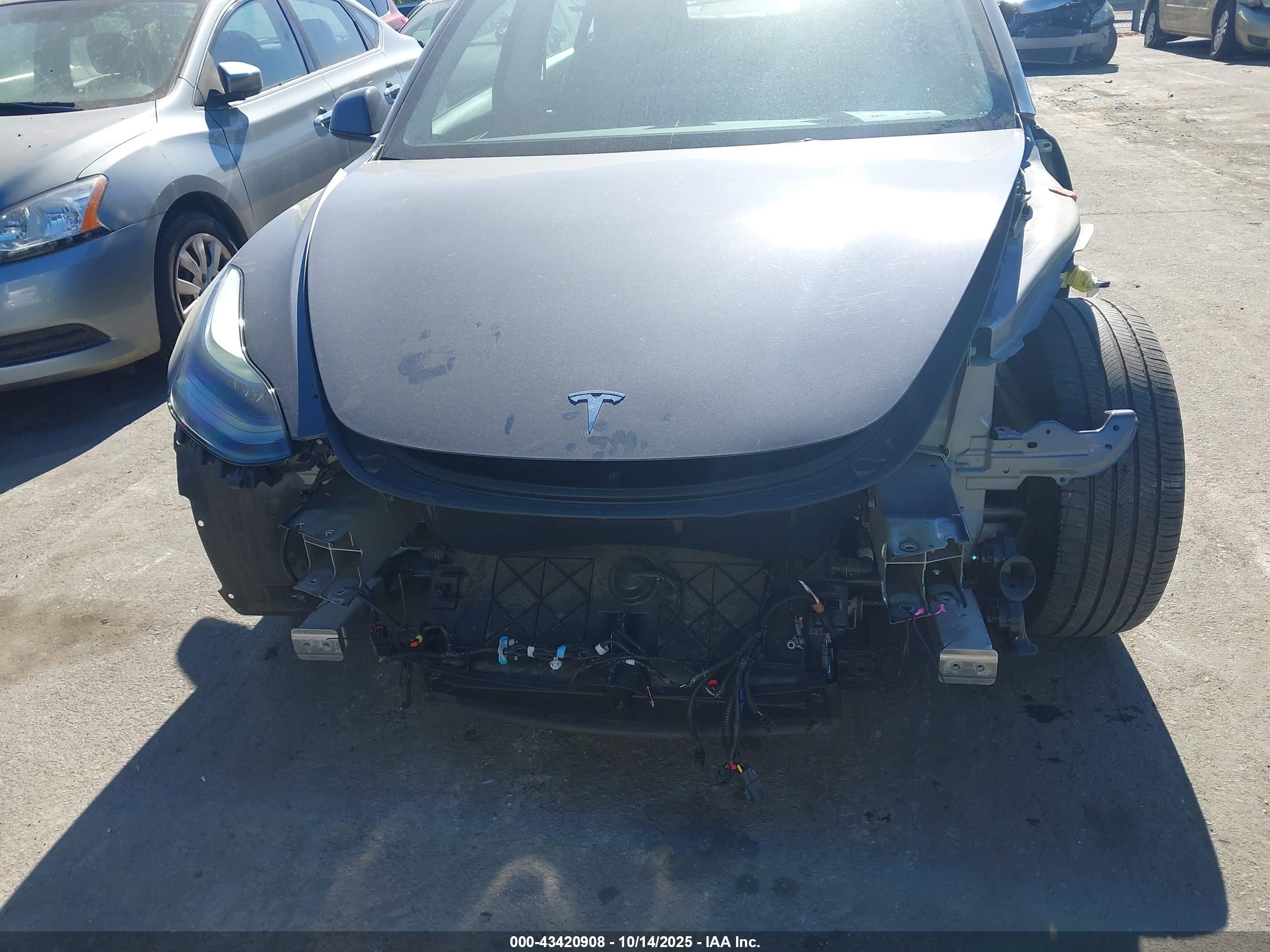 TESLA MODEL image 6