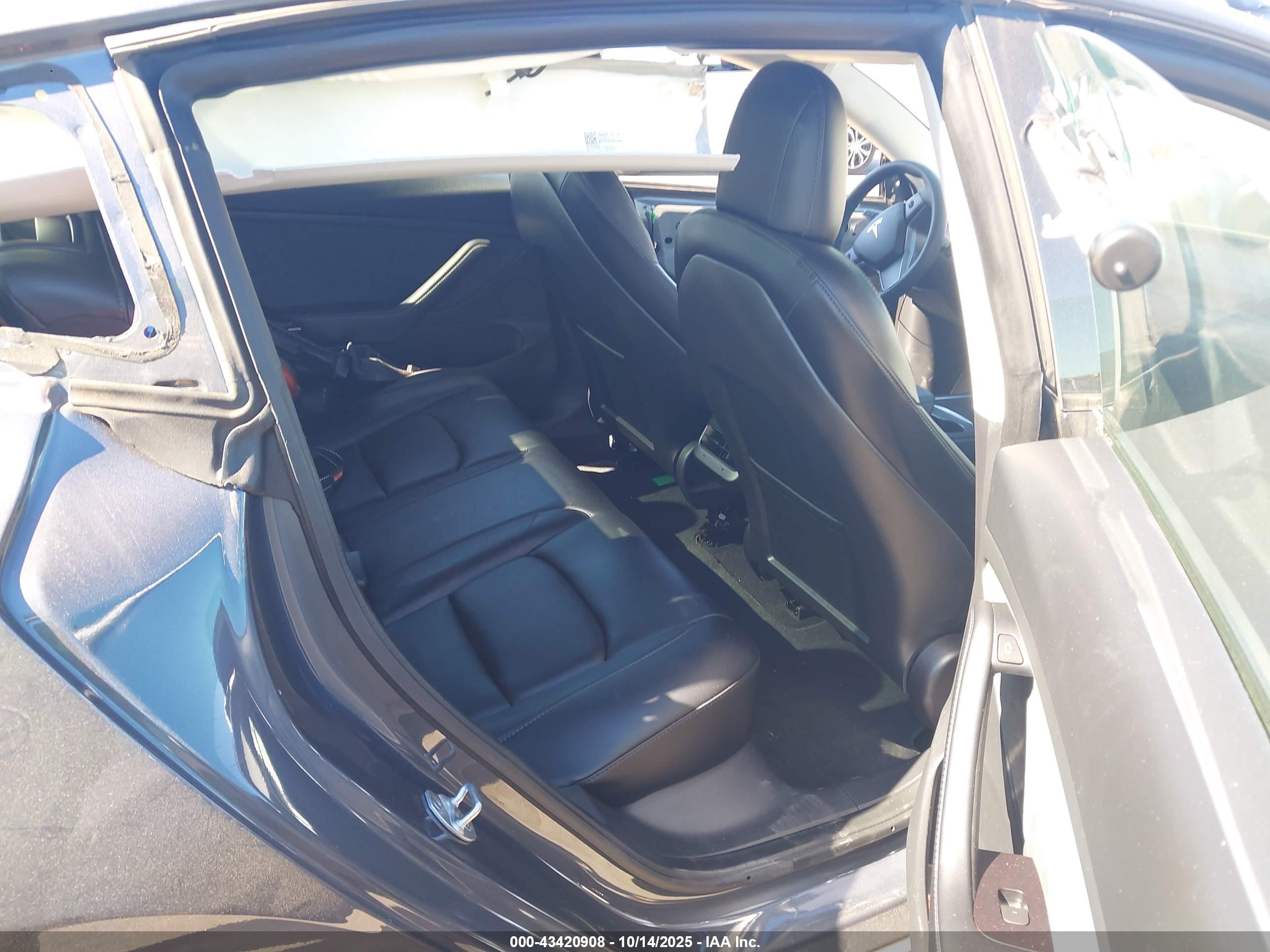 TESLA MODEL image 8