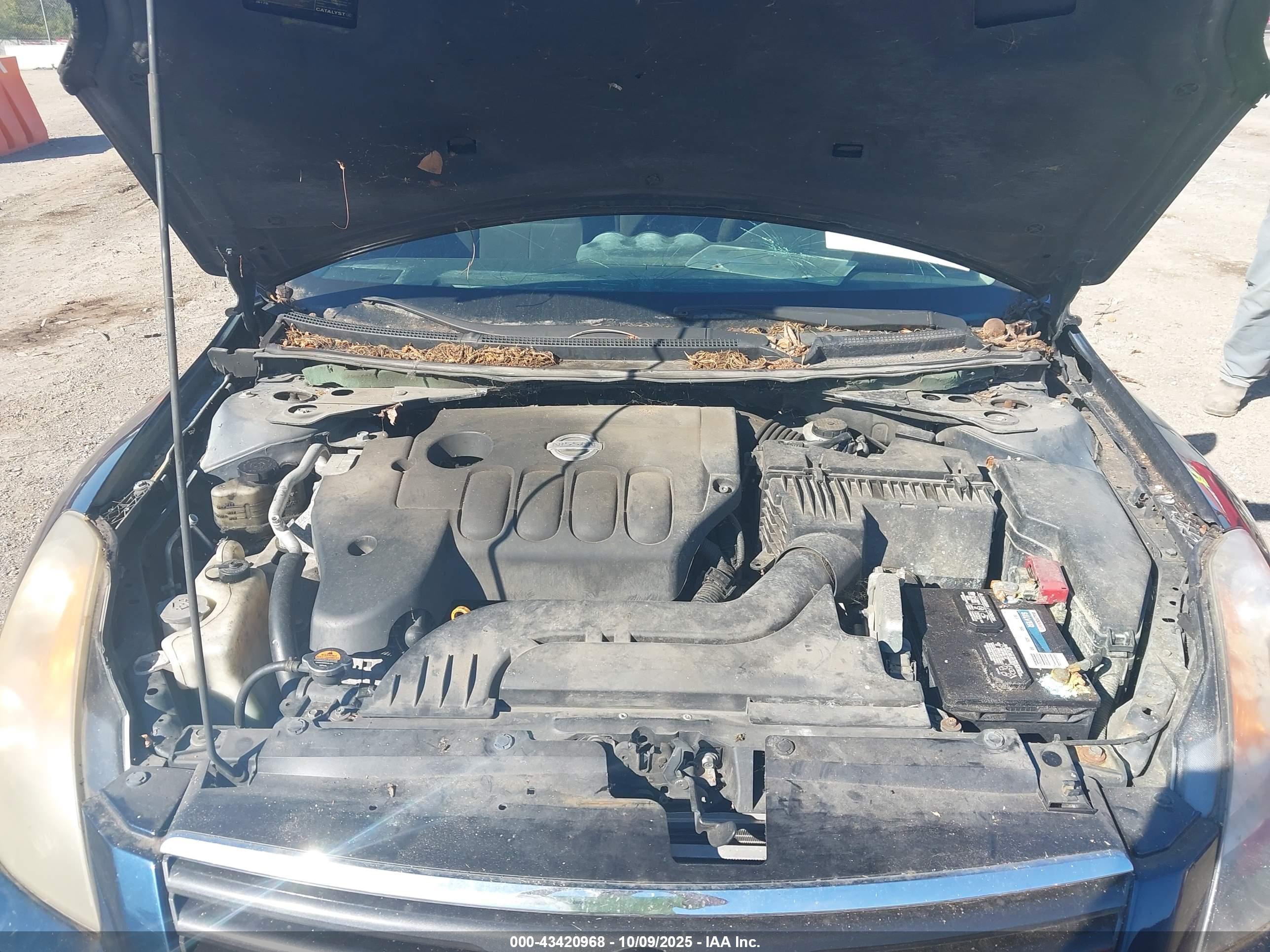 NISSAN ALTIMA image 10