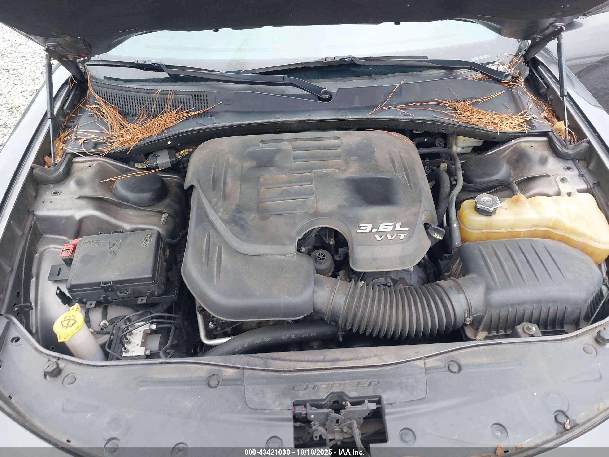 DODGE CHARGER image 10