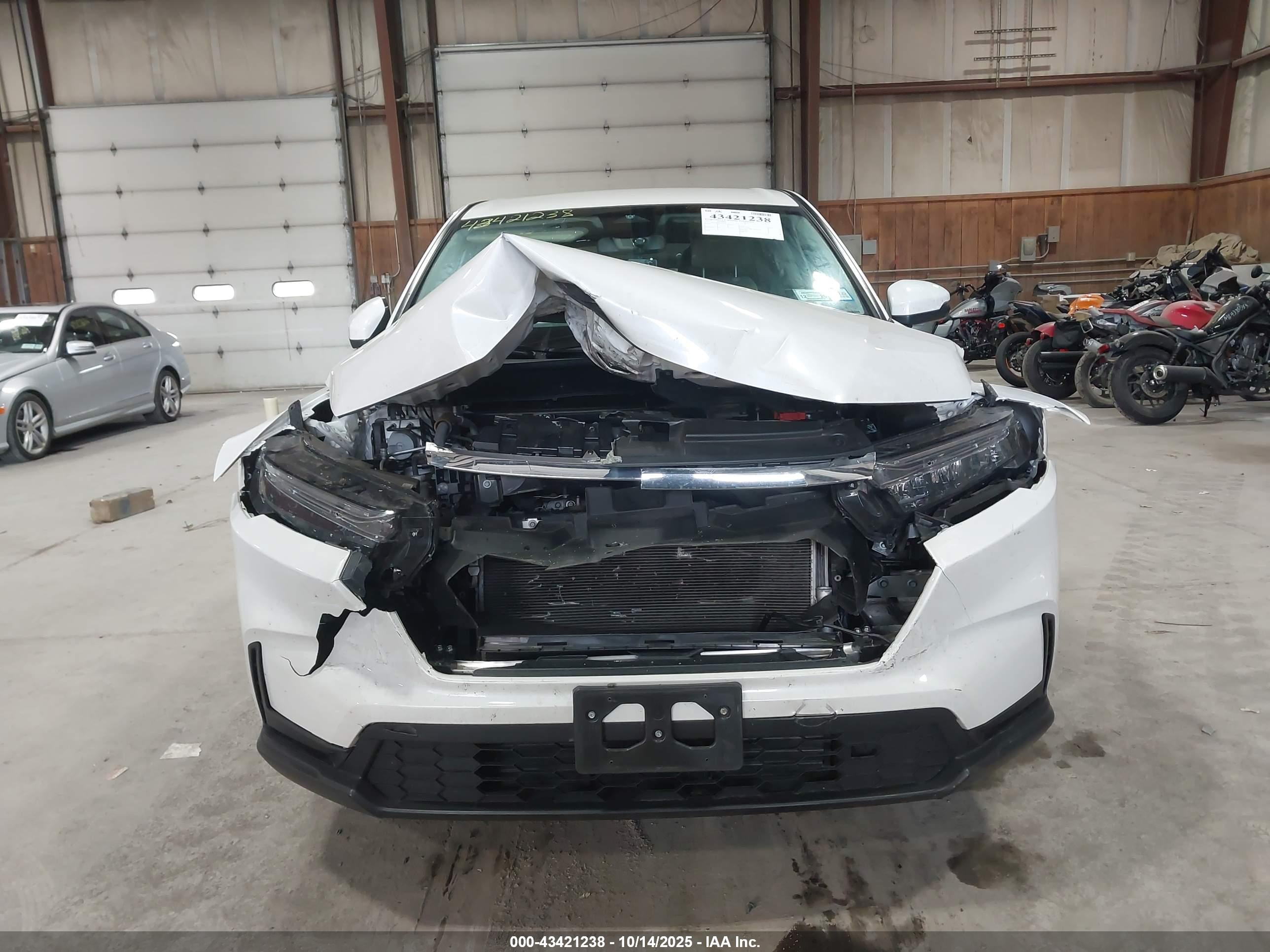 HONDA CR-V image 6