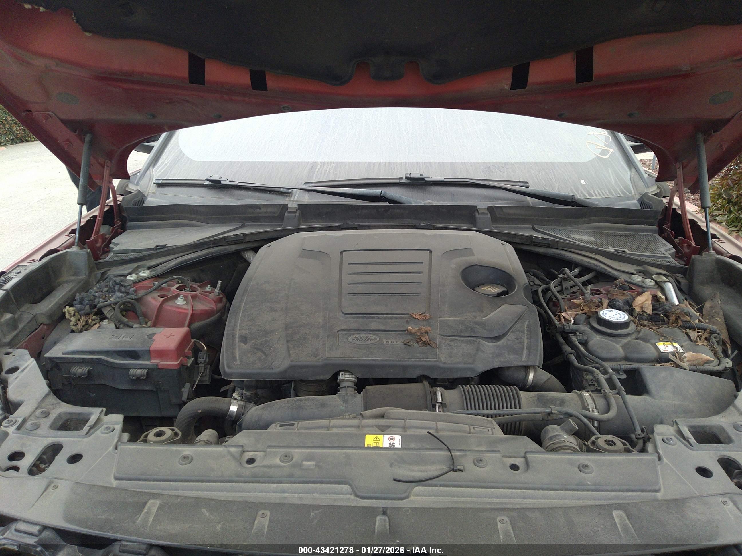 LAND ROVER image 10