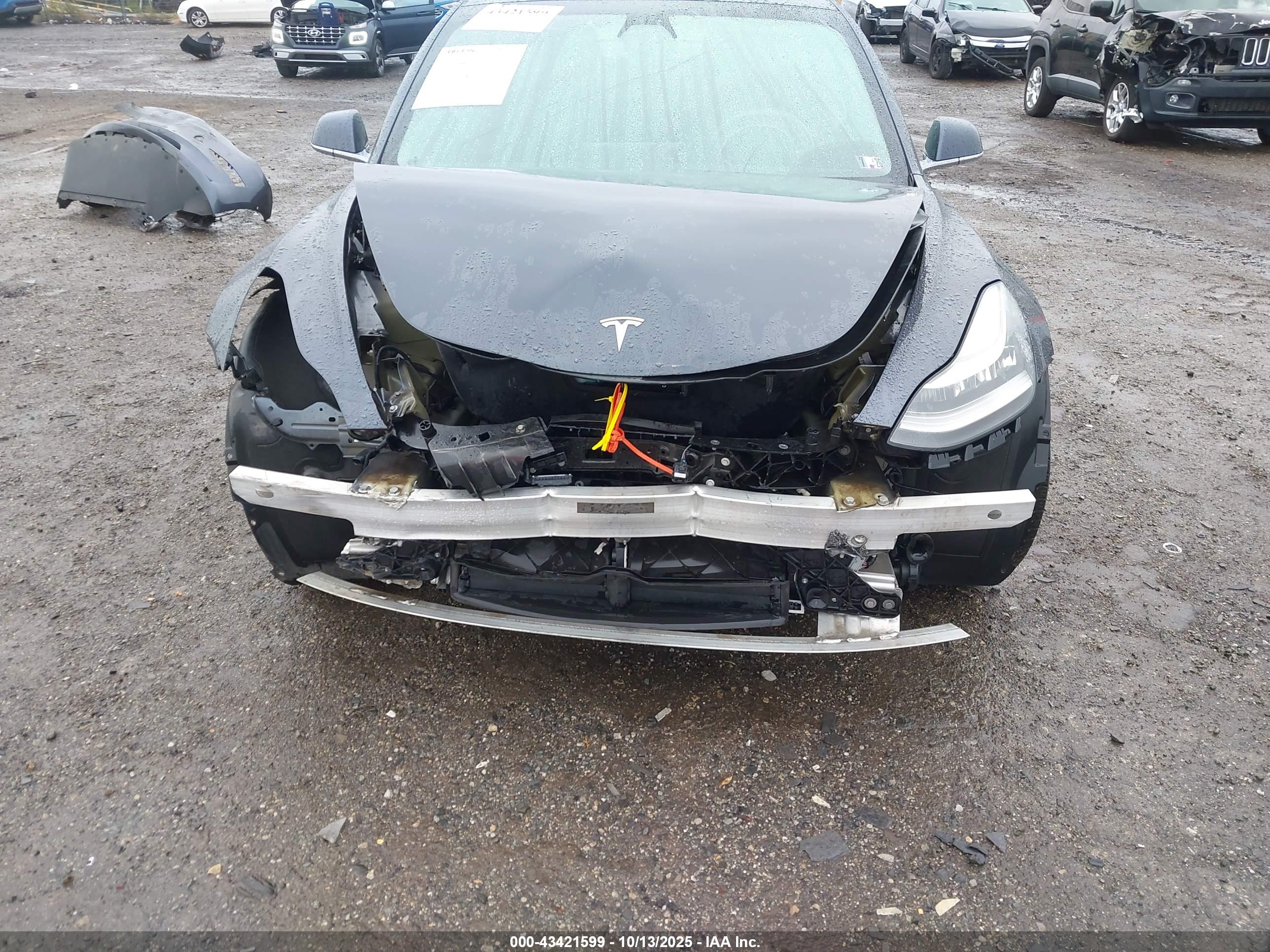 TESLA MODEL image 10