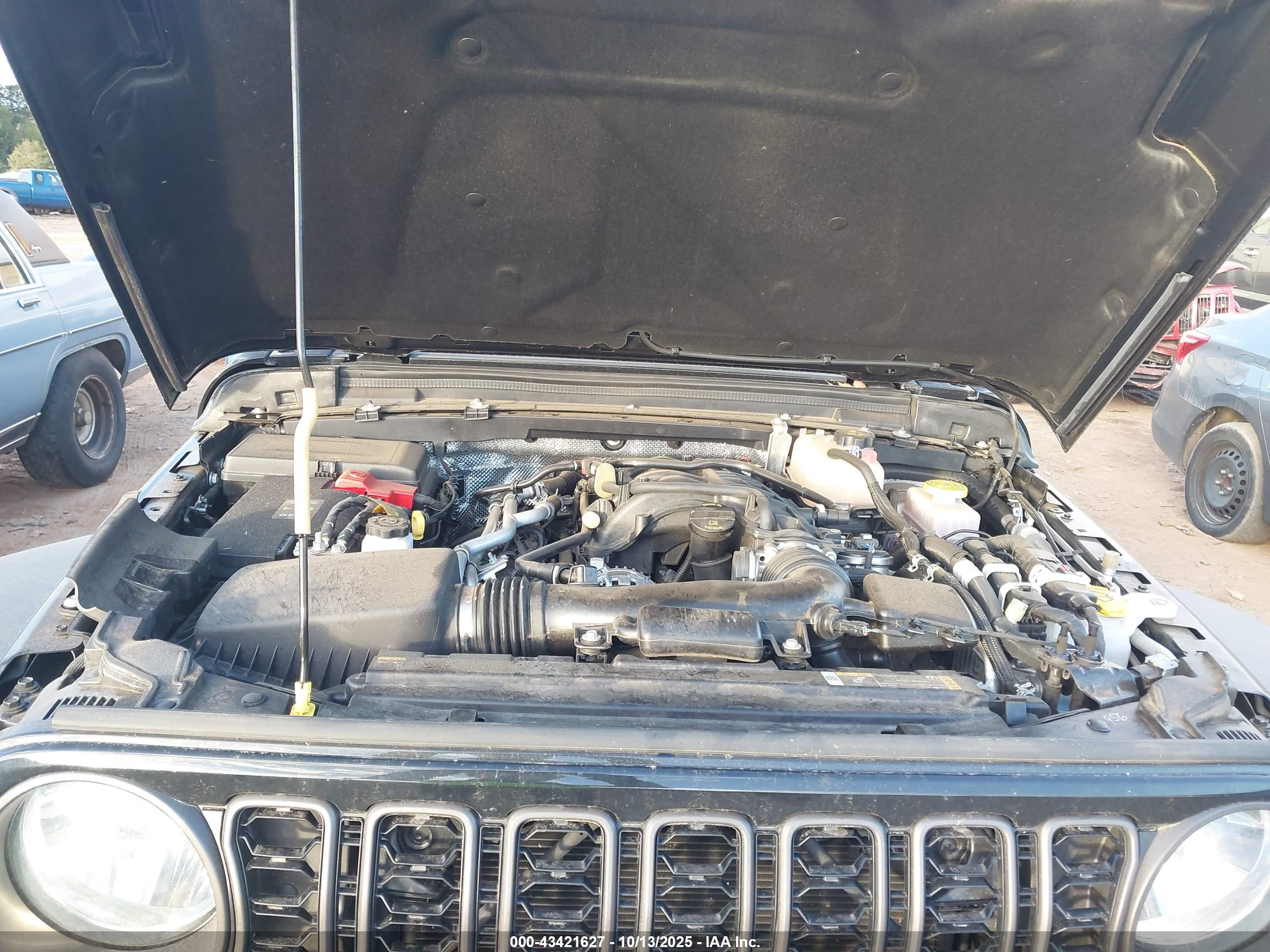 JEEP WRANGLER image 10