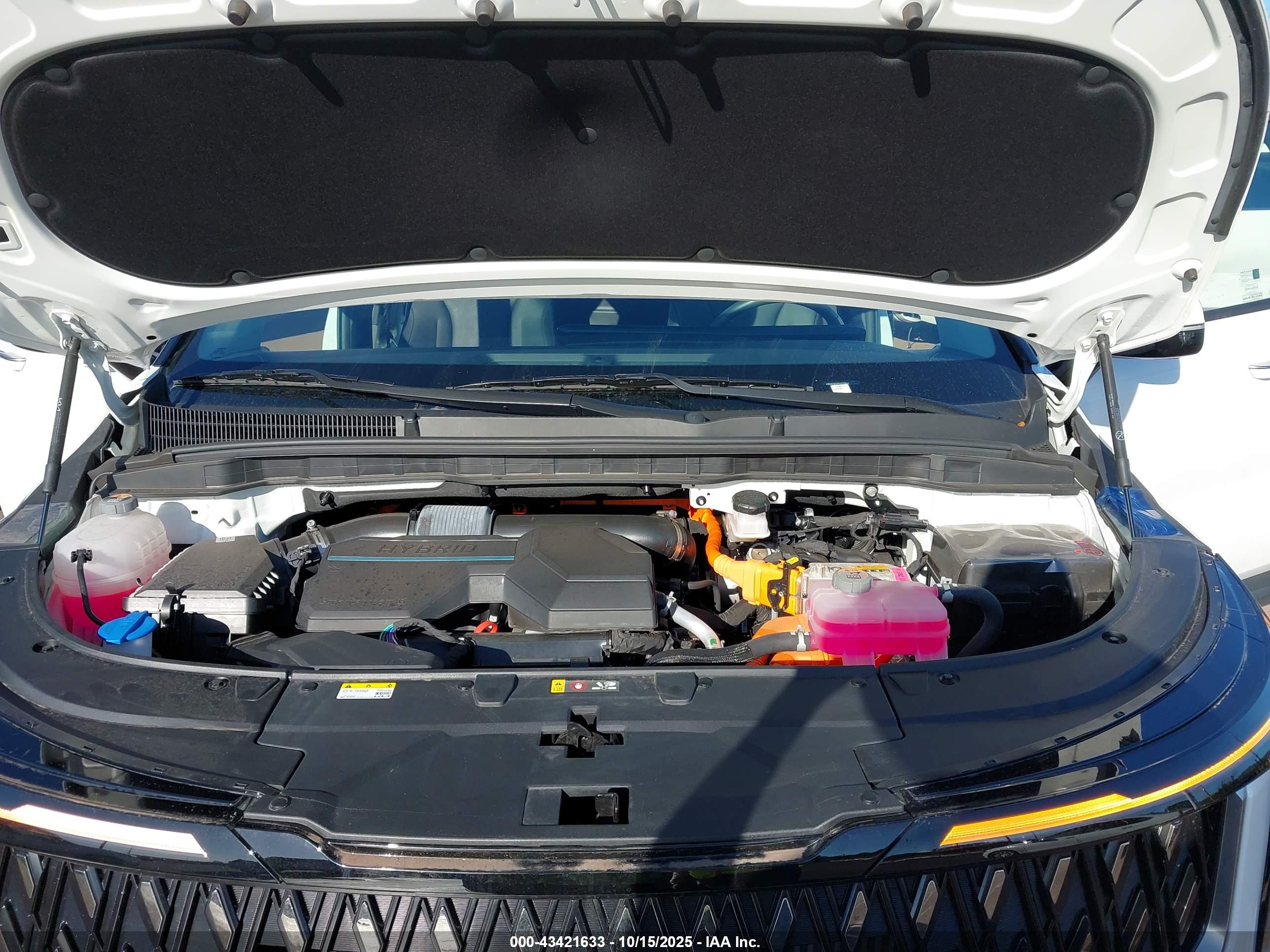 KIA CARNIVAL image 10