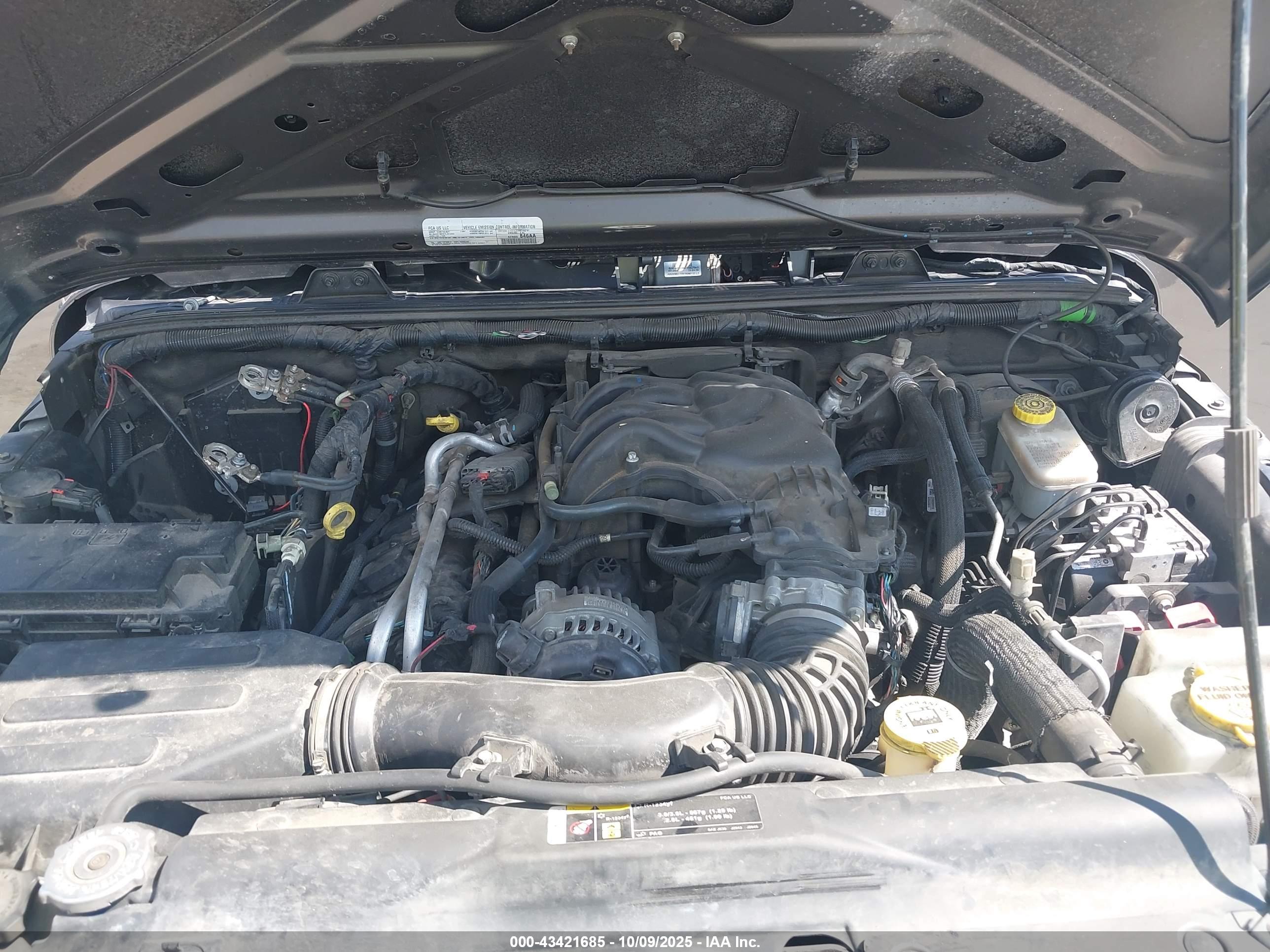 JEEP WRANGLER image 10