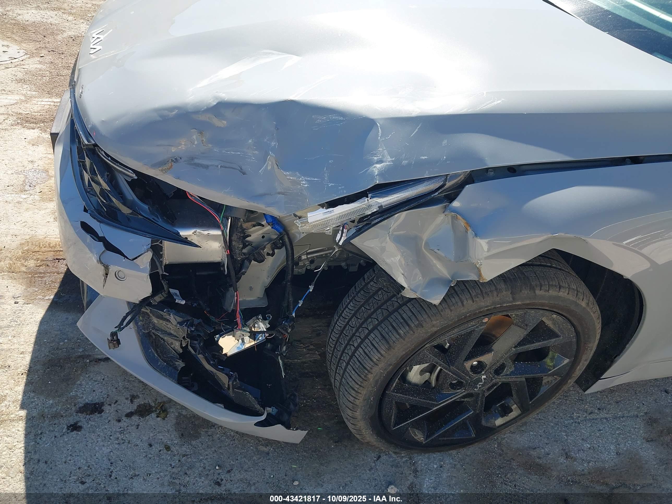 KIA K5 image 6