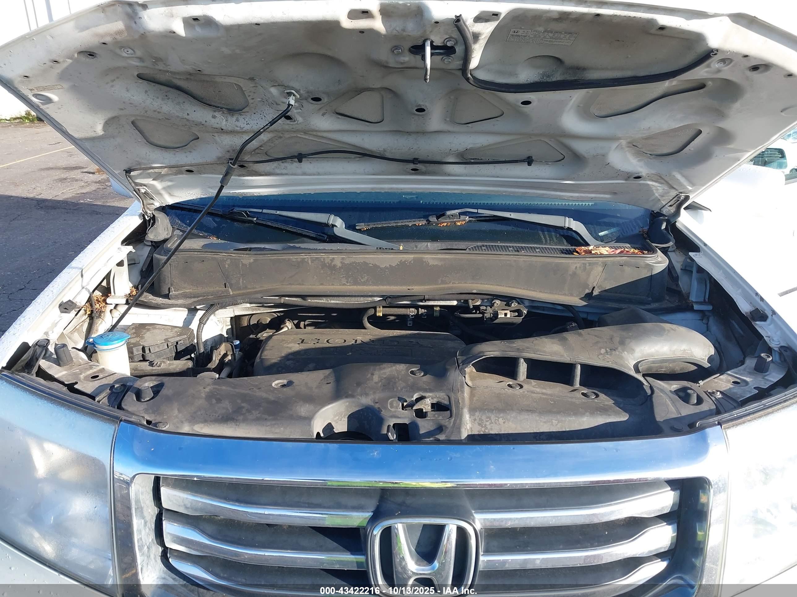 HONDA PILOT image 10