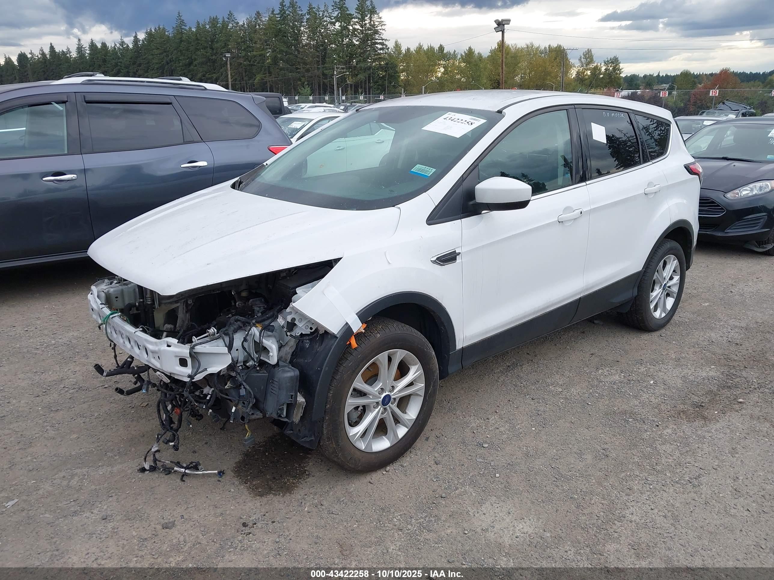 FORD ESCAPE image 2