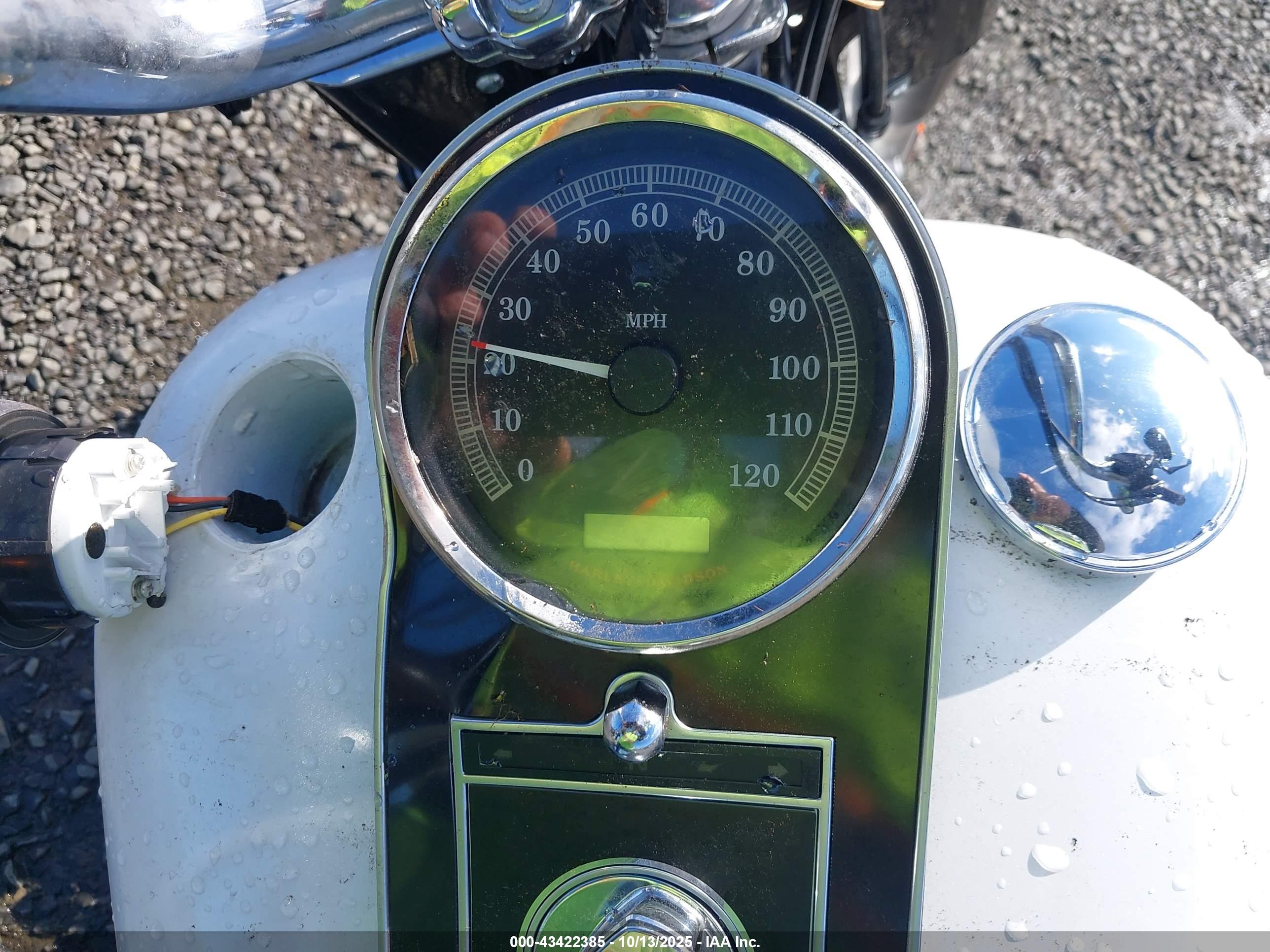 HARLEY-DAVIDSON FLSTFB image 7