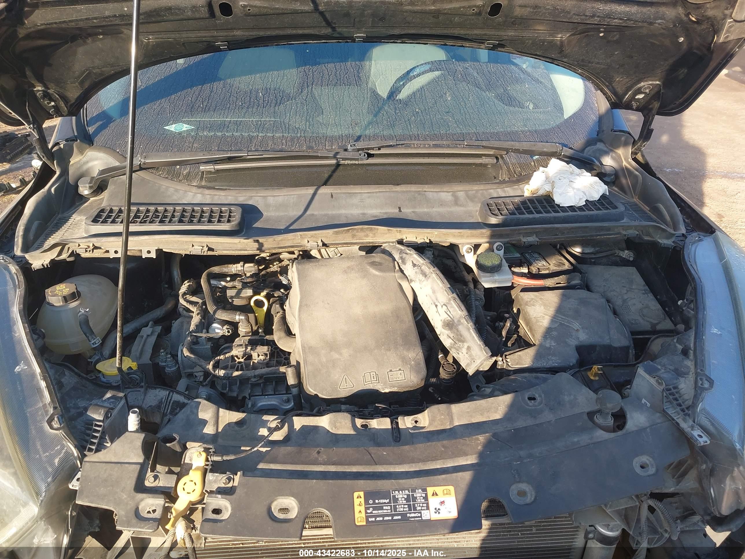 FORD ESCAPE image 10