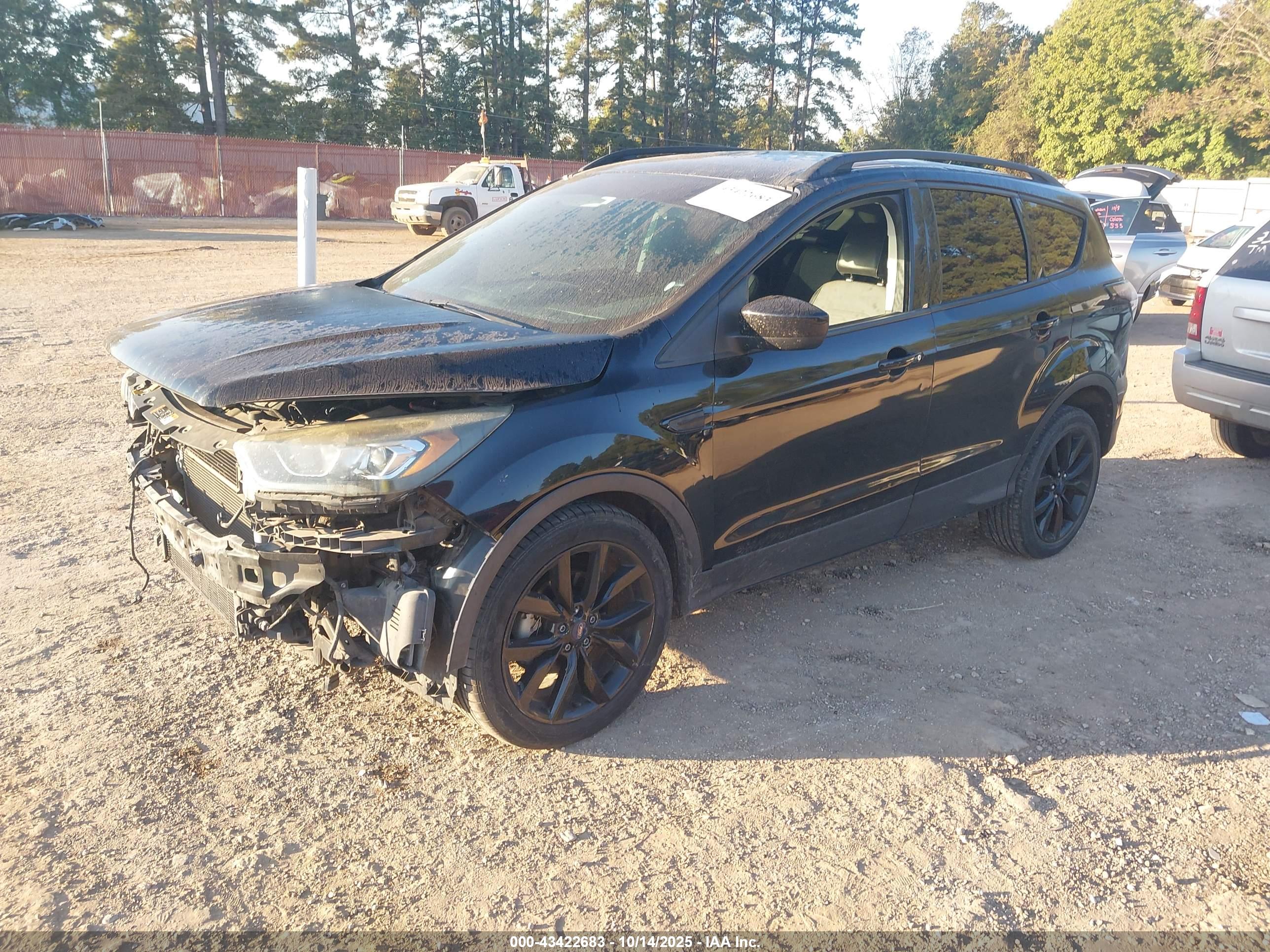 FORD ESCAPE image 2