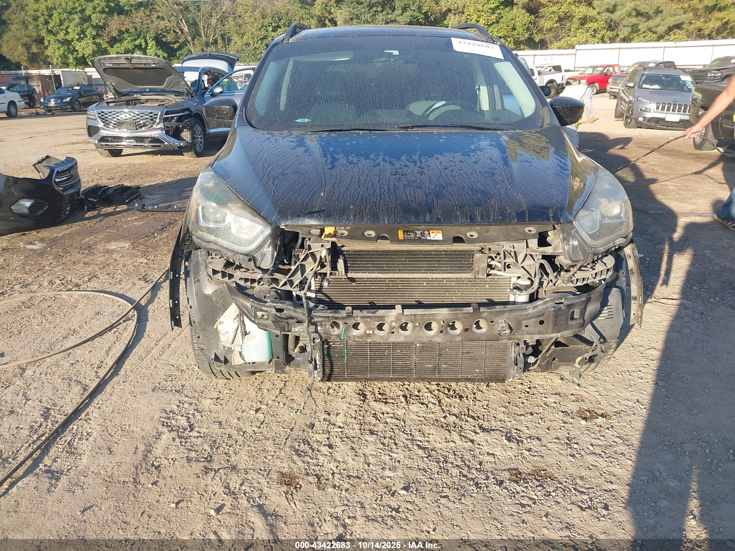 FORD ESCAPE image 6