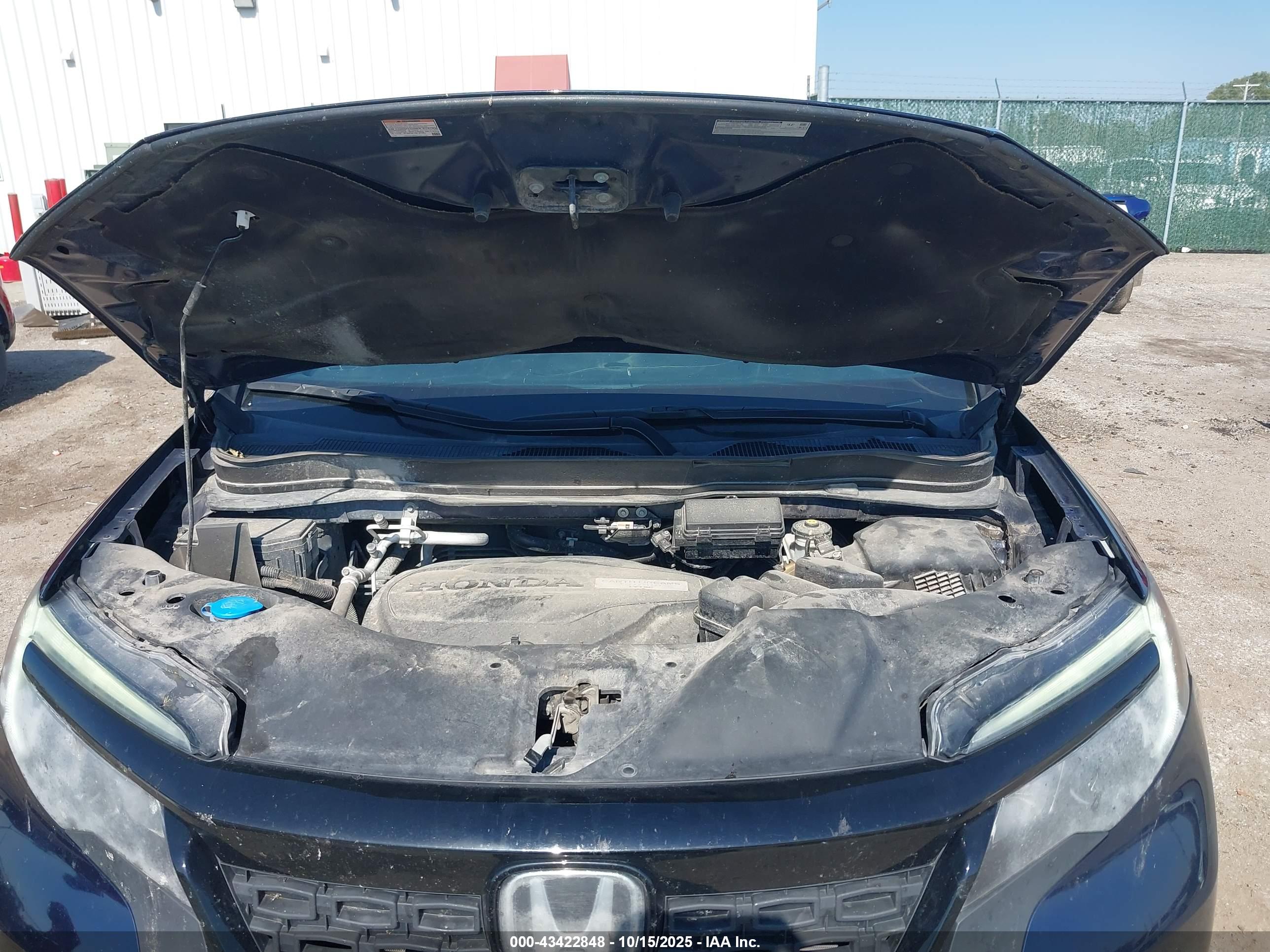 HONDA PASSPORT image 10