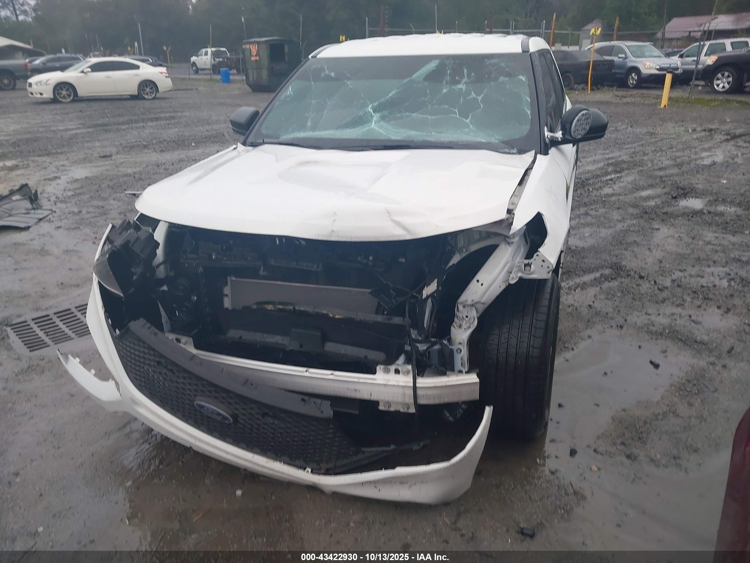 FORD POLICE image 2