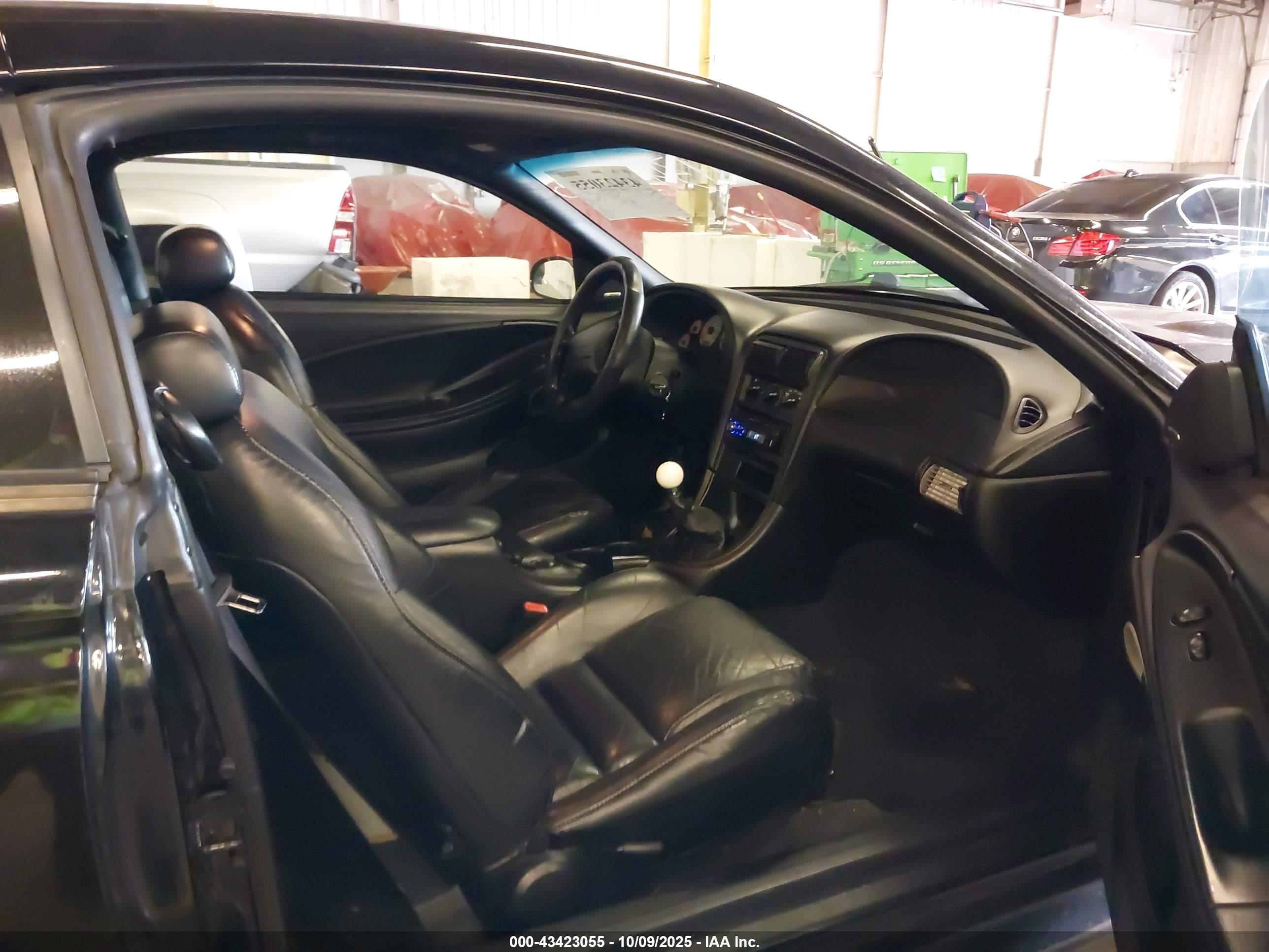 FORD MUSTANG image 5
