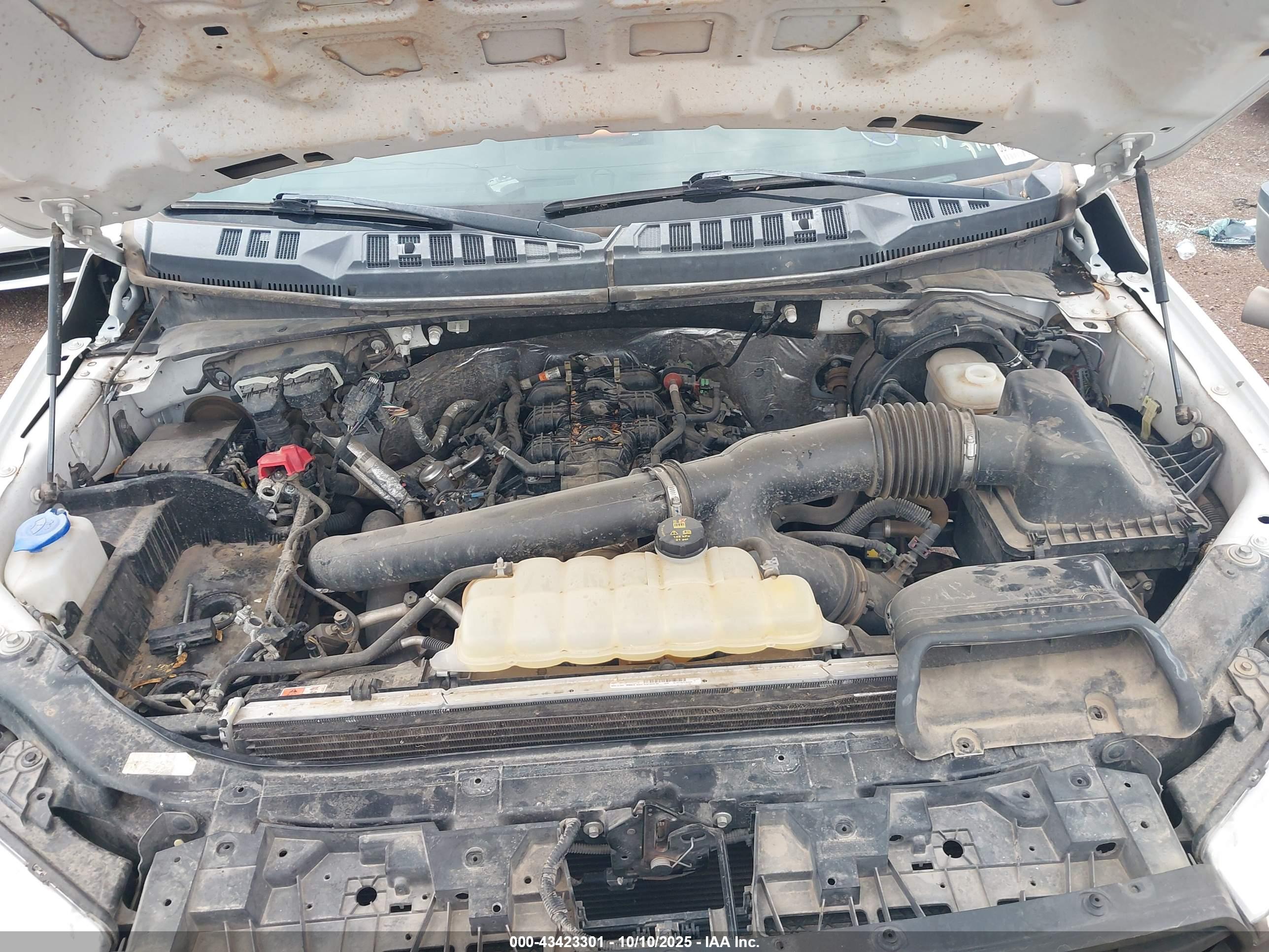 FORD F-150 image 10