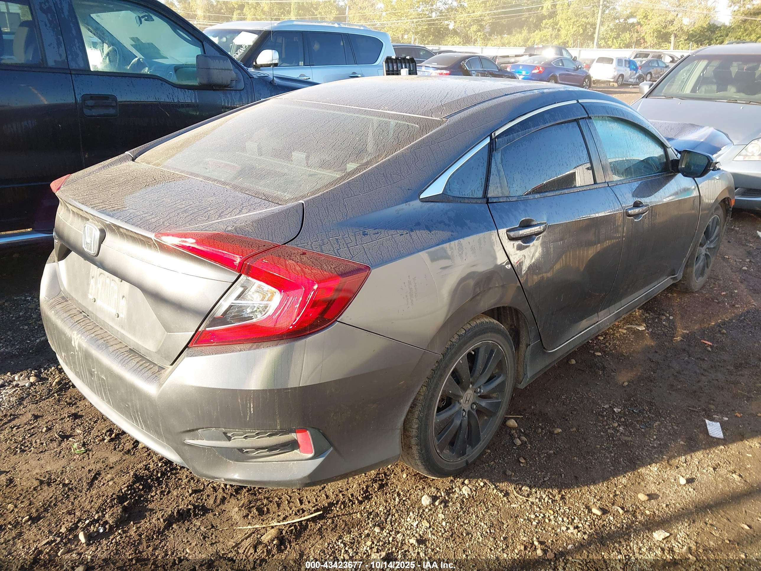 HONDA CIVIC image 4