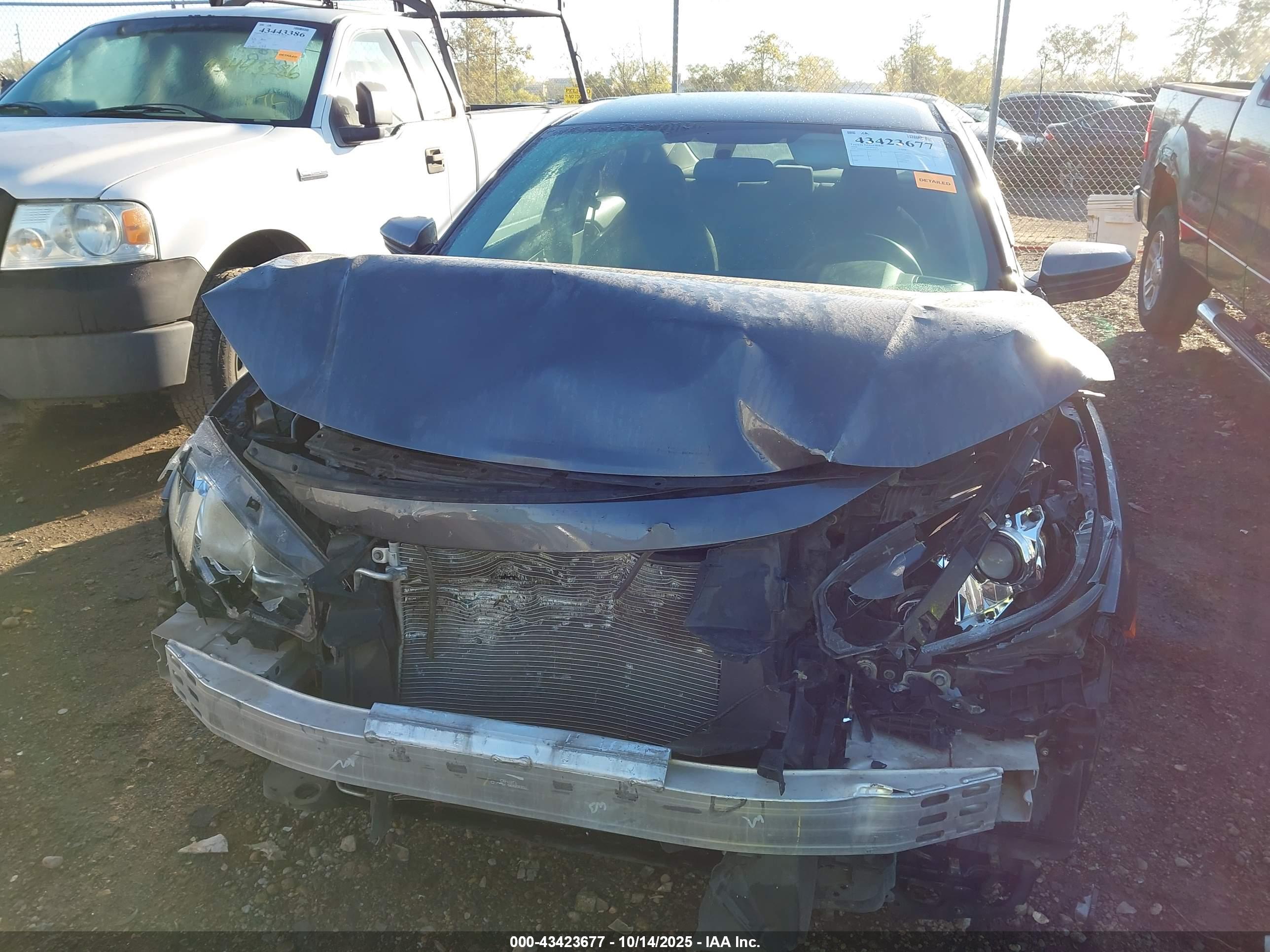 HONDA CIVIC image 6