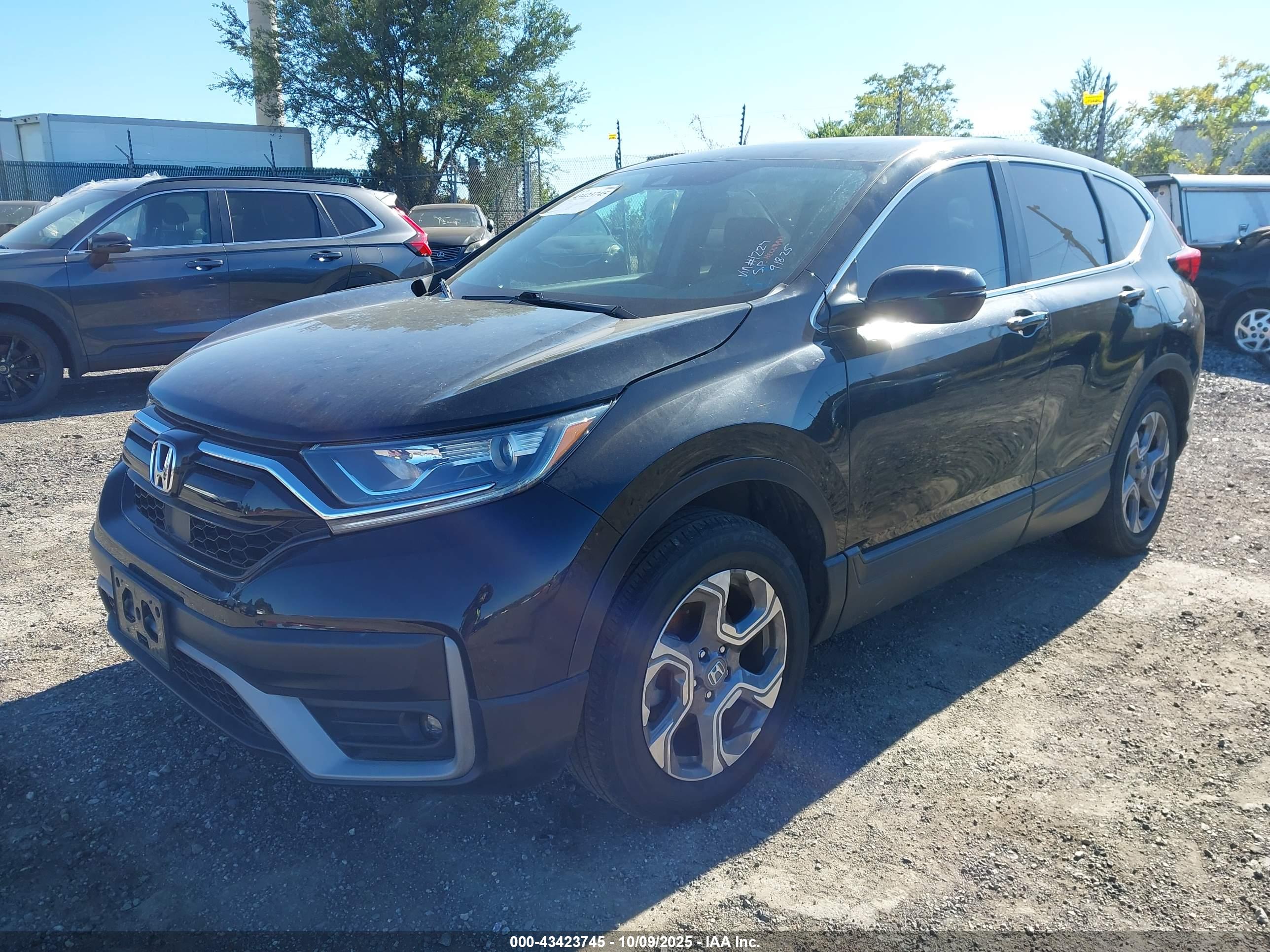 HONDA CR-V image 2