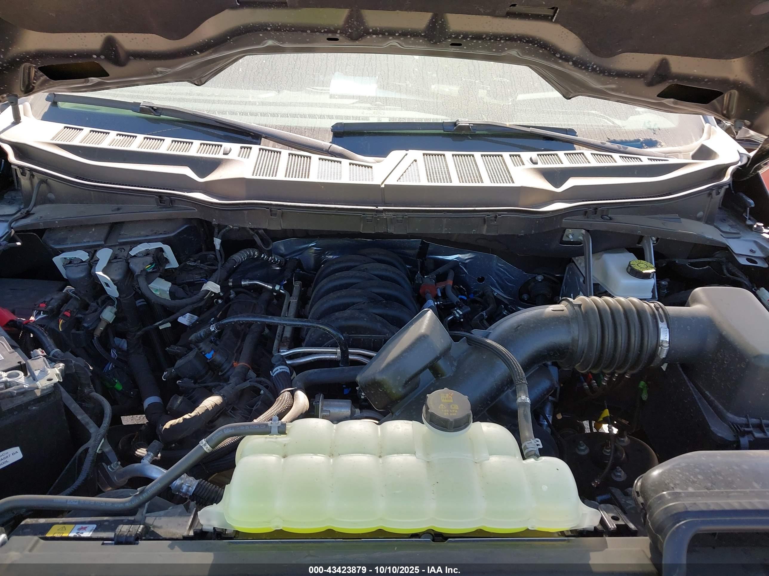 FORD F-150 image 10