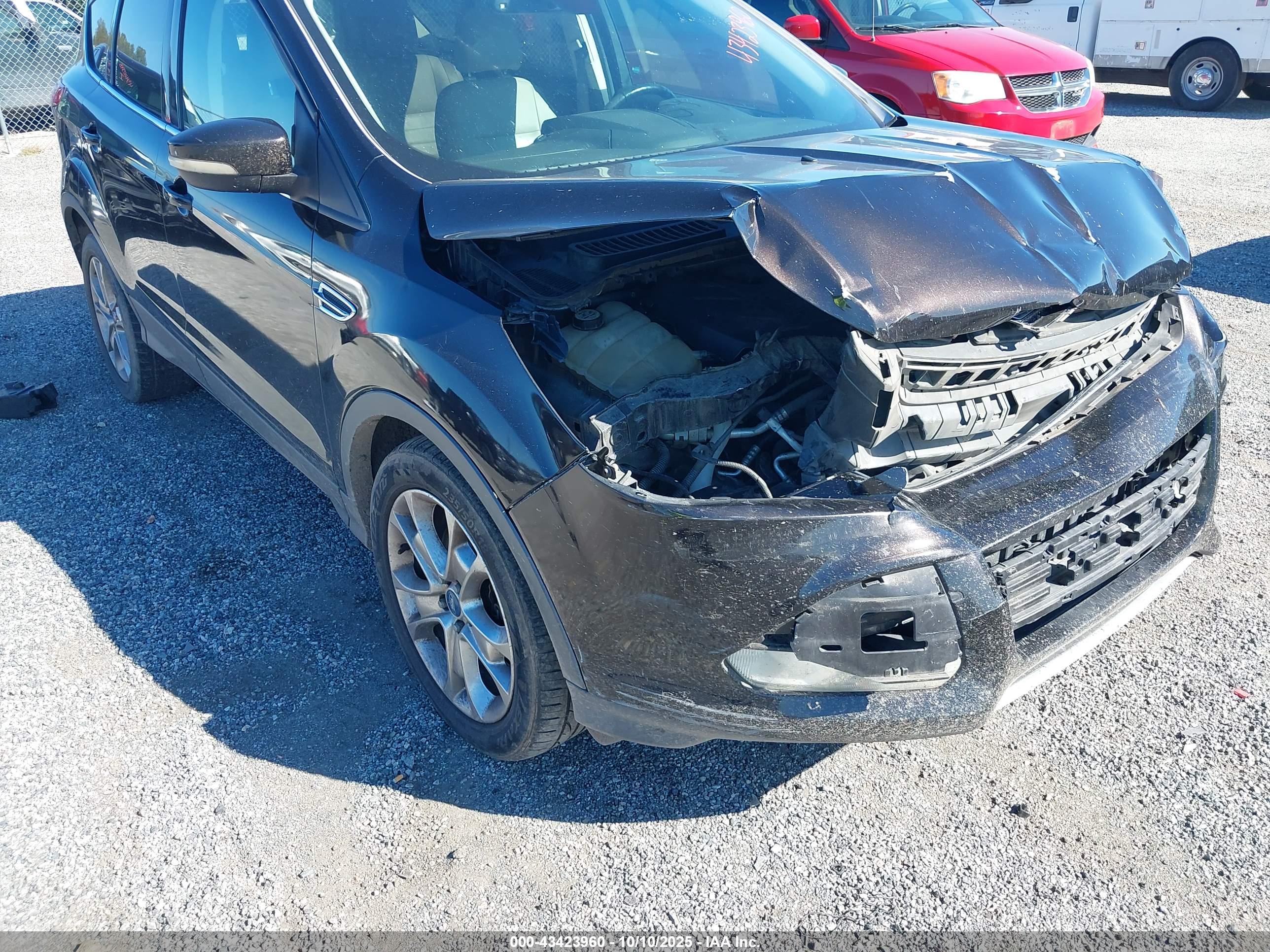 FORD ESCAPE image 6