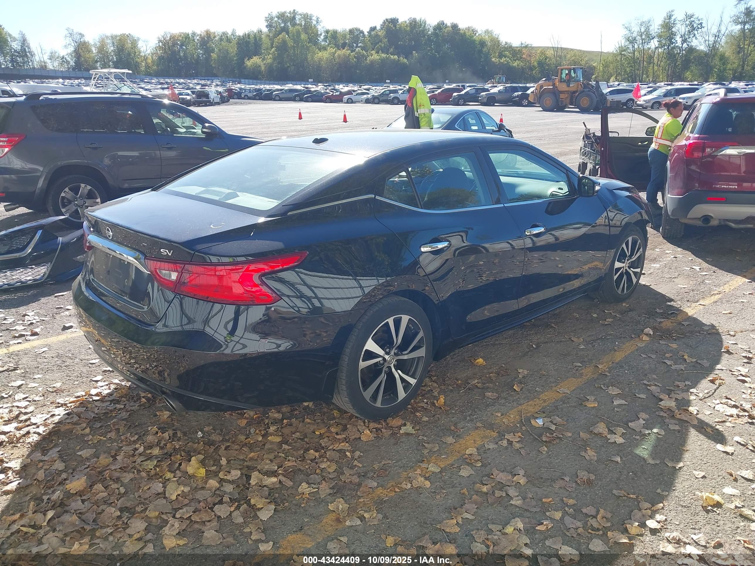 NISSAN MAXIMA image 4
