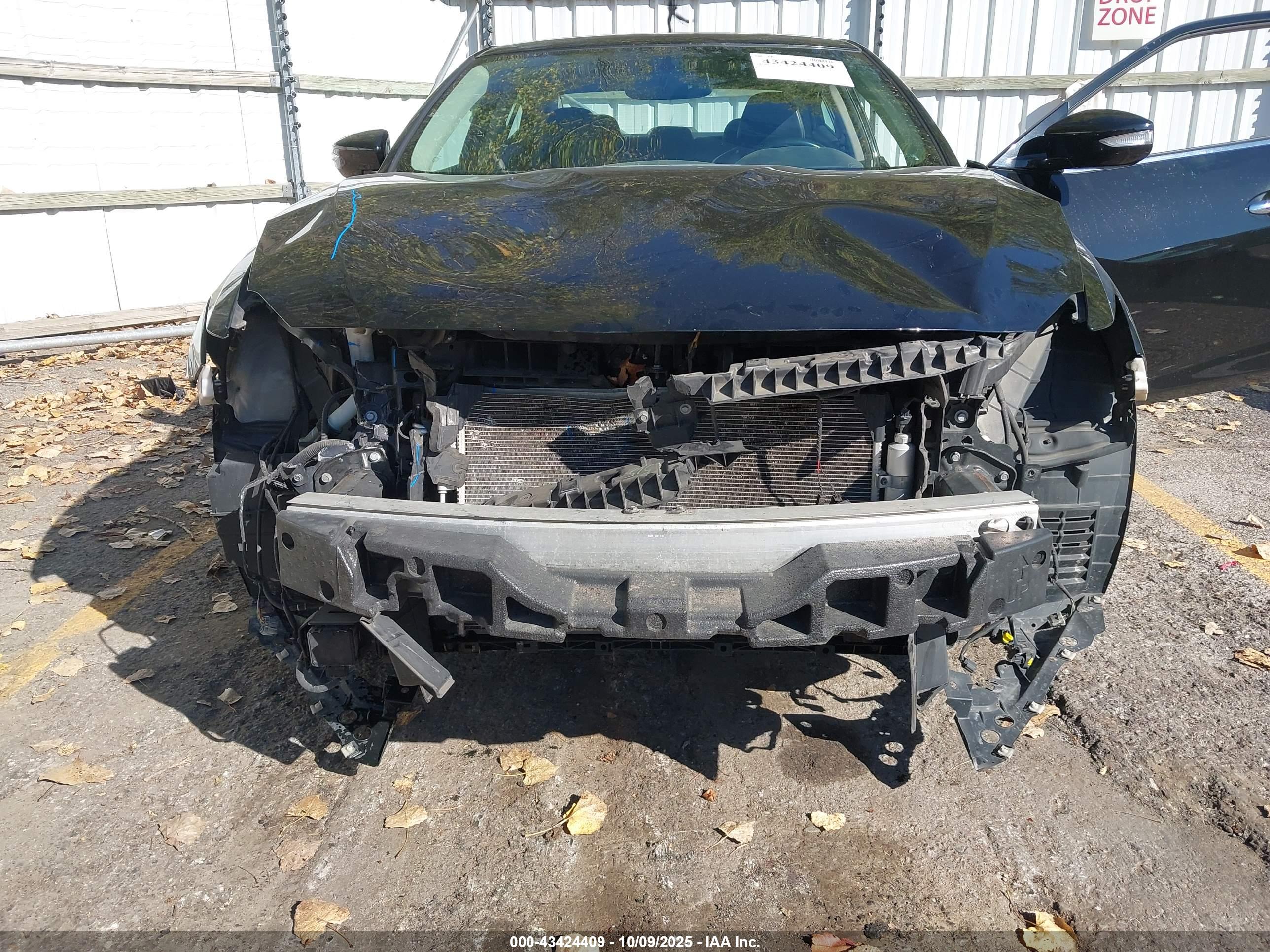 NISSAN MAXIMA image 6