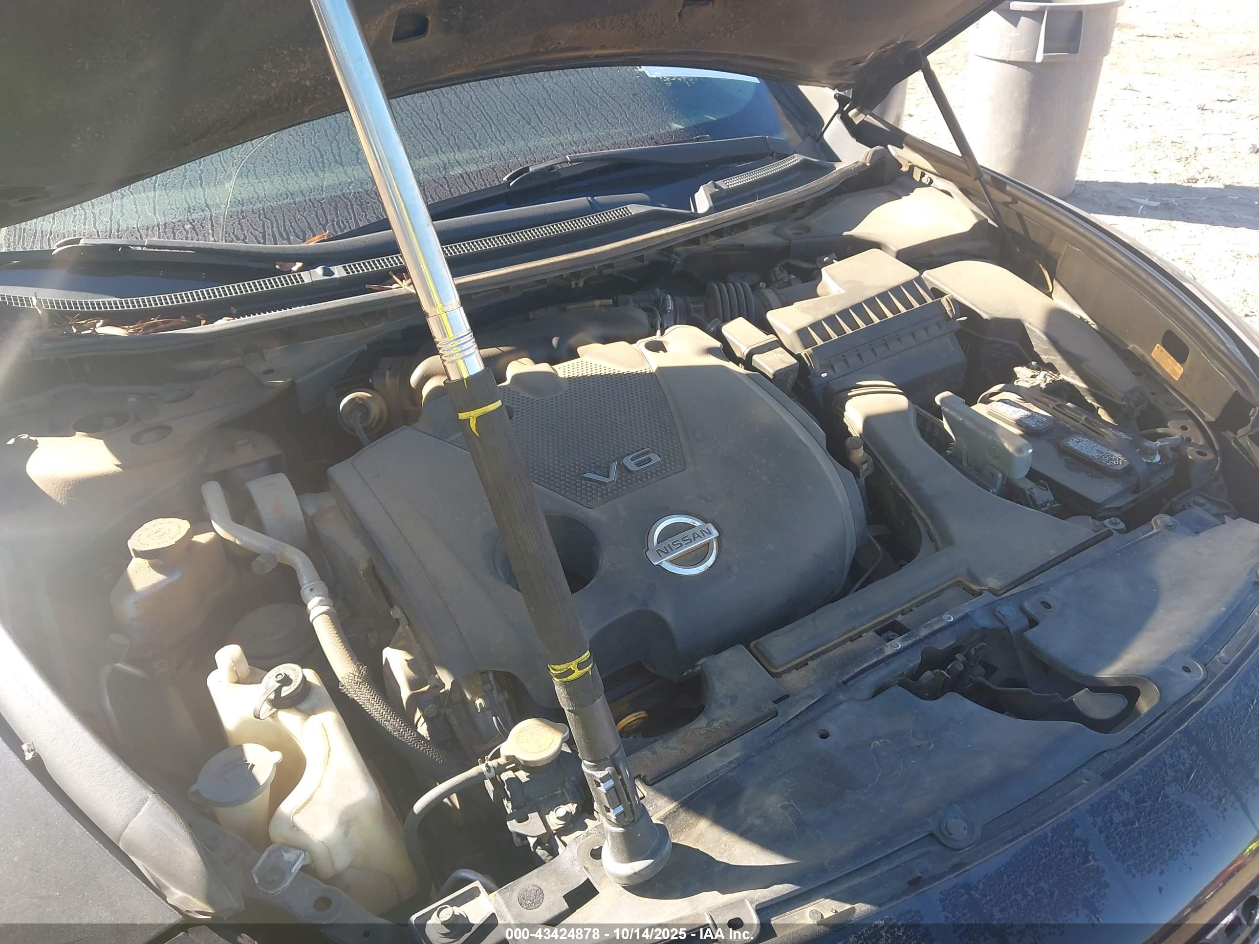 NISSAN MAXIMA image 10