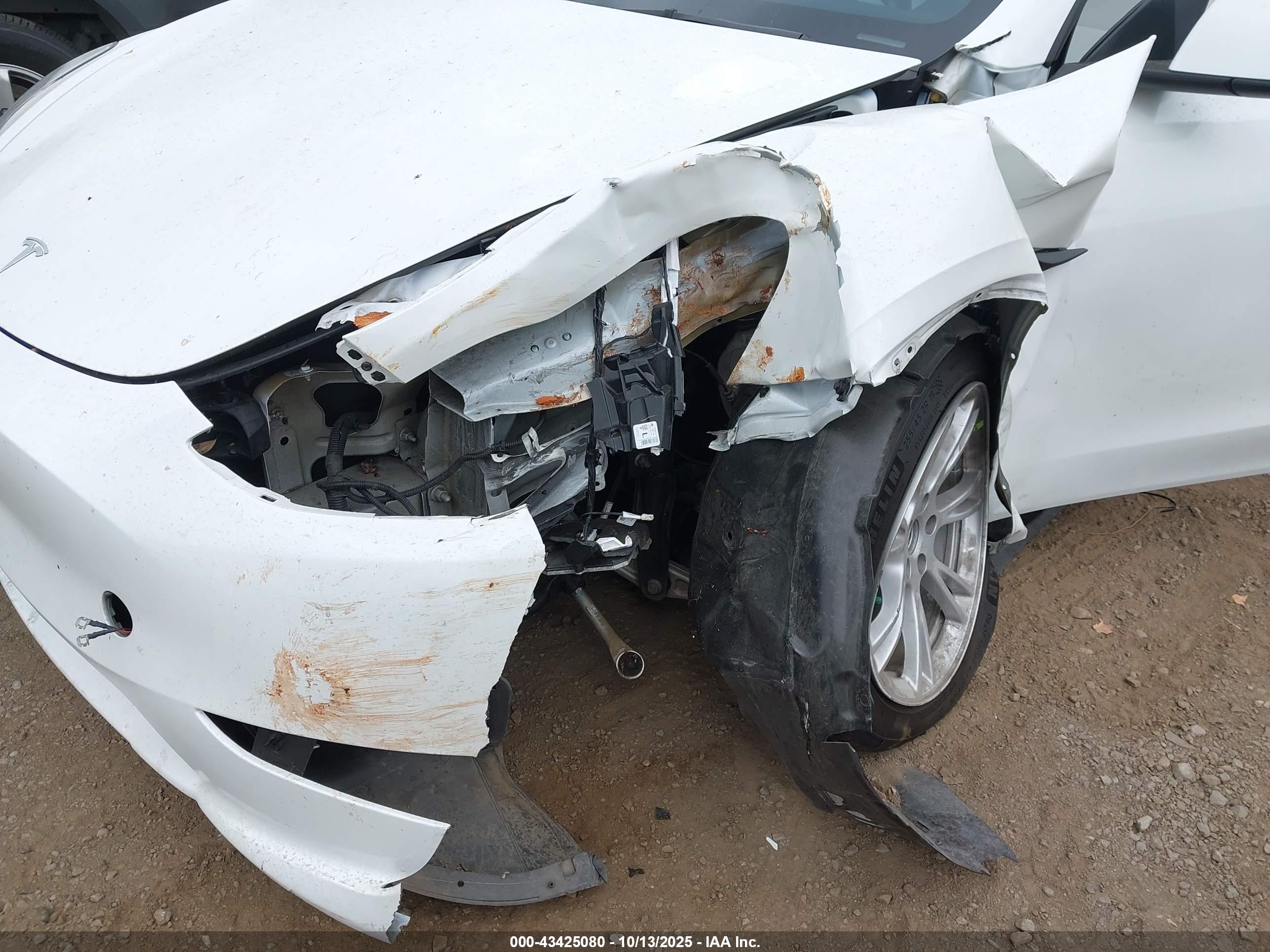 TESLA MODEL image 6
