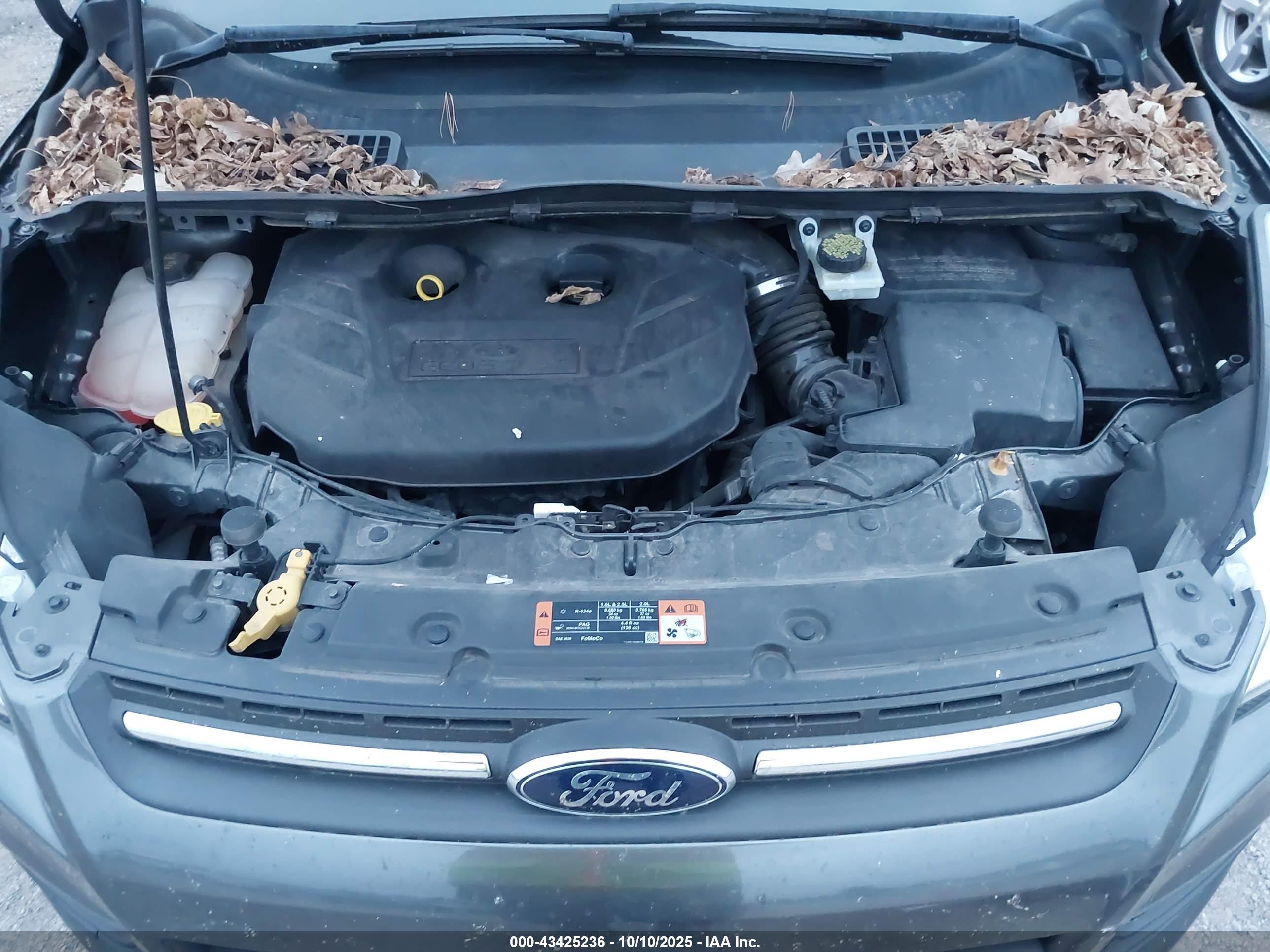 FORD ESCAPE image 10