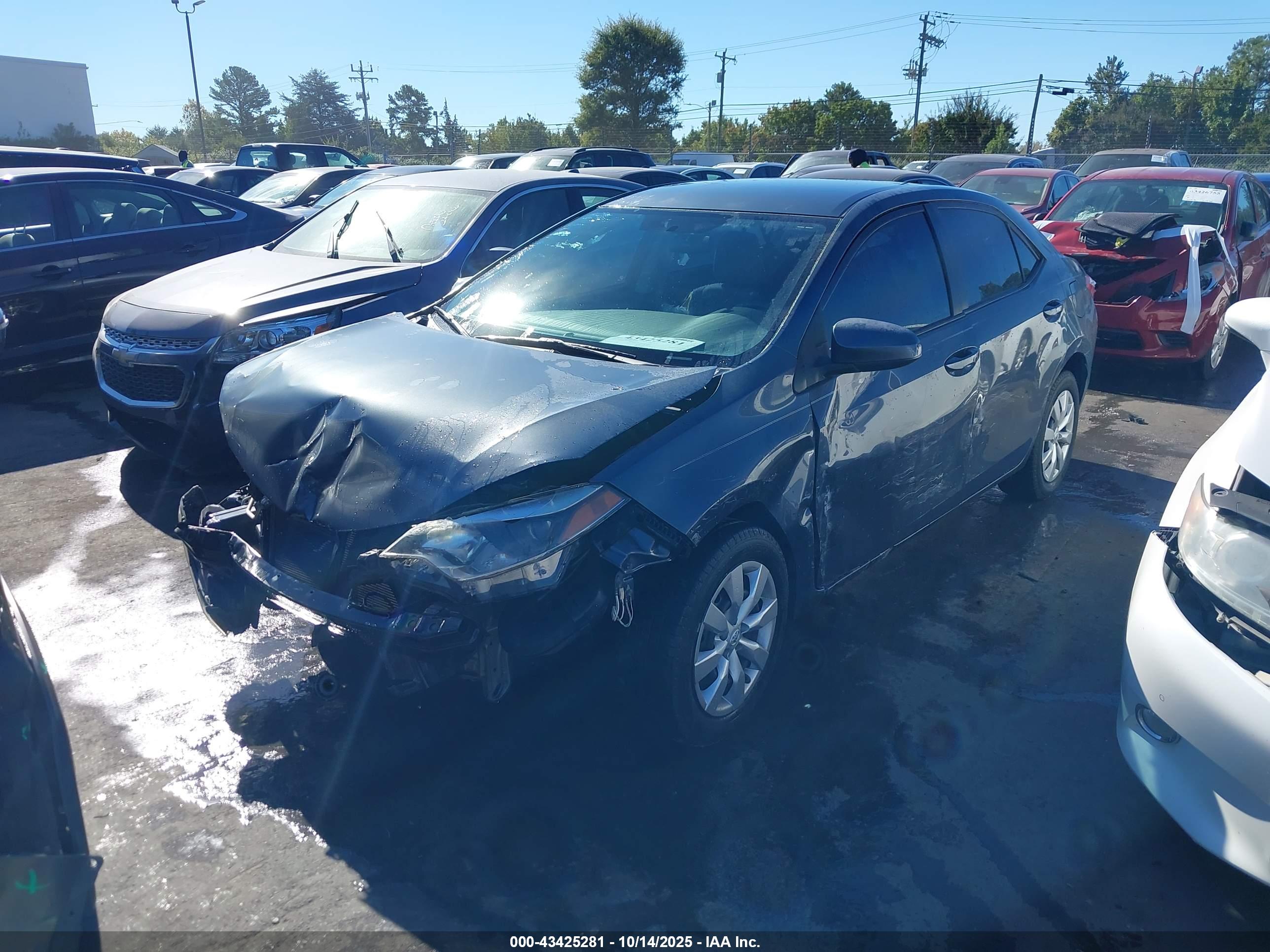 TOYOTA COROLLA image 2