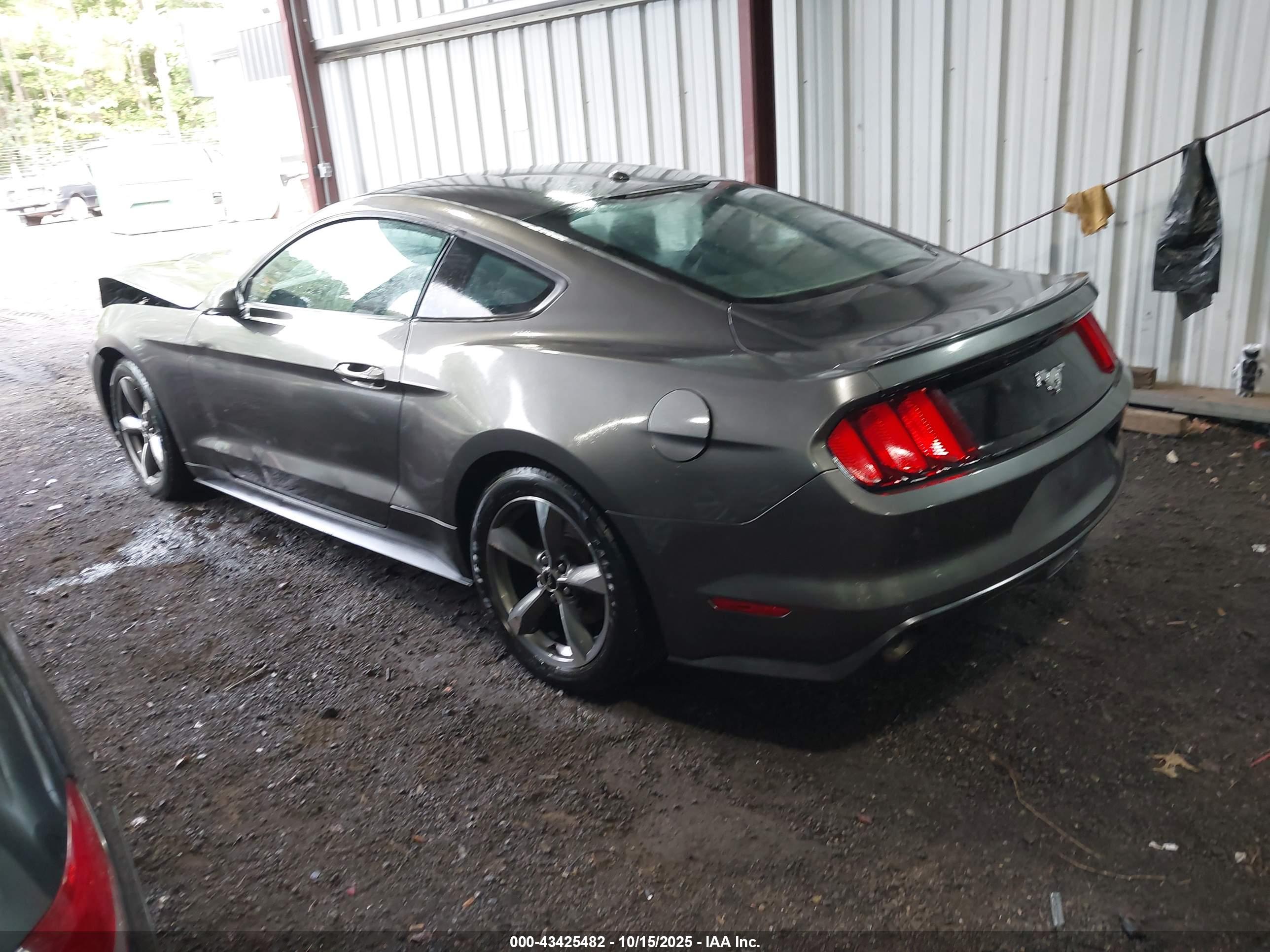 FORD MUSTANG image 3
