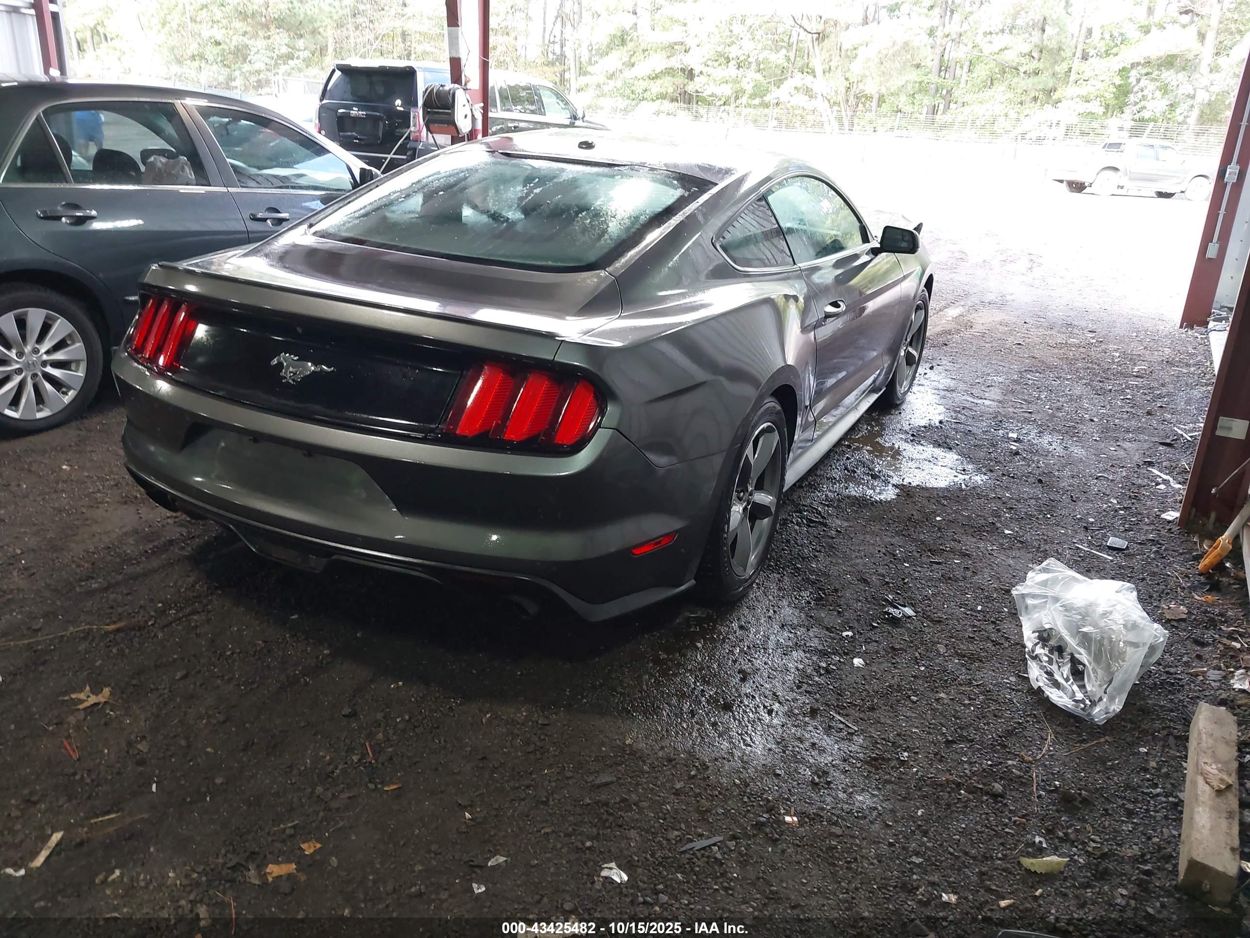 FORD MUSTANG image 4