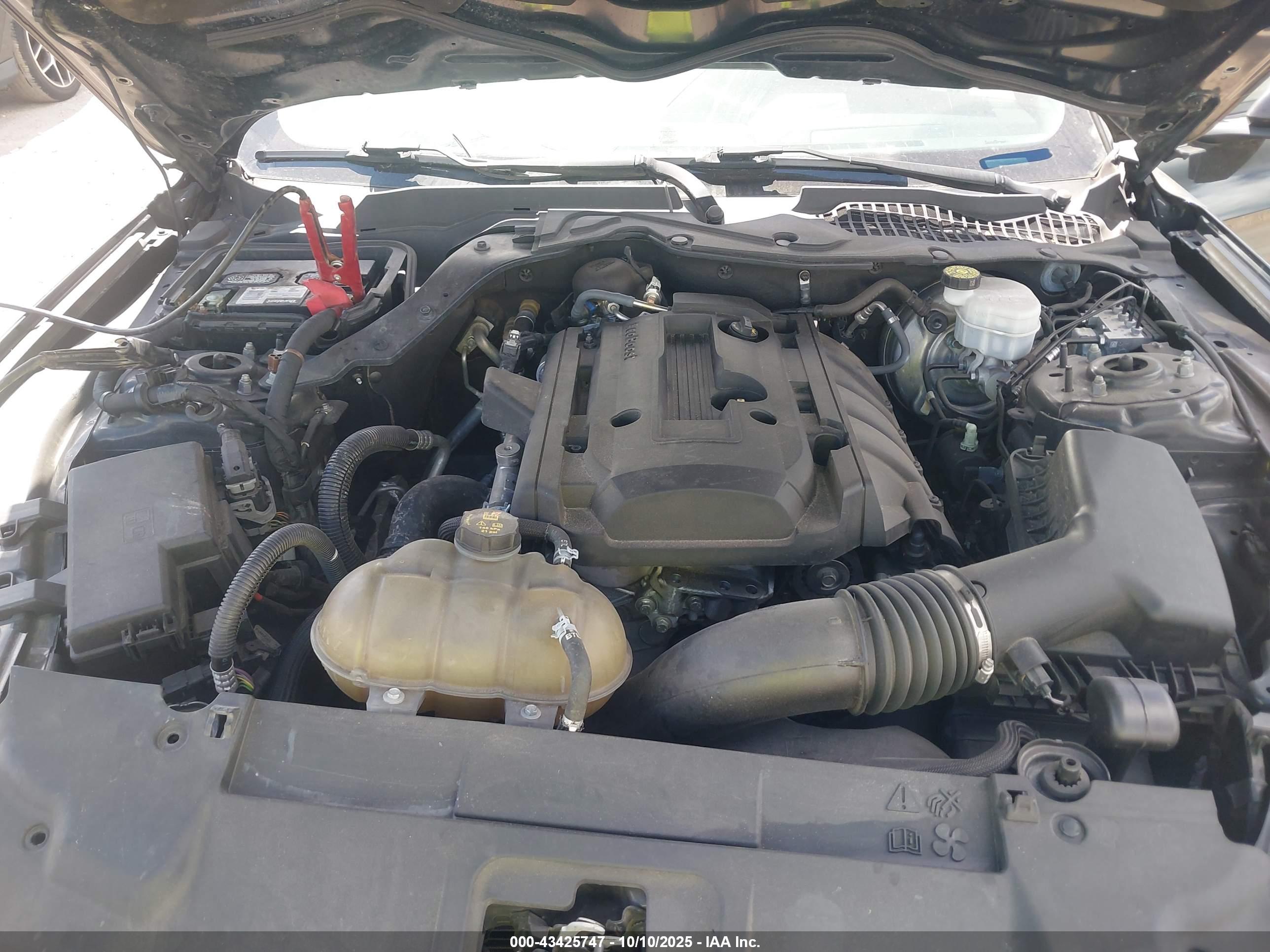 FORD MUSTANG image 10