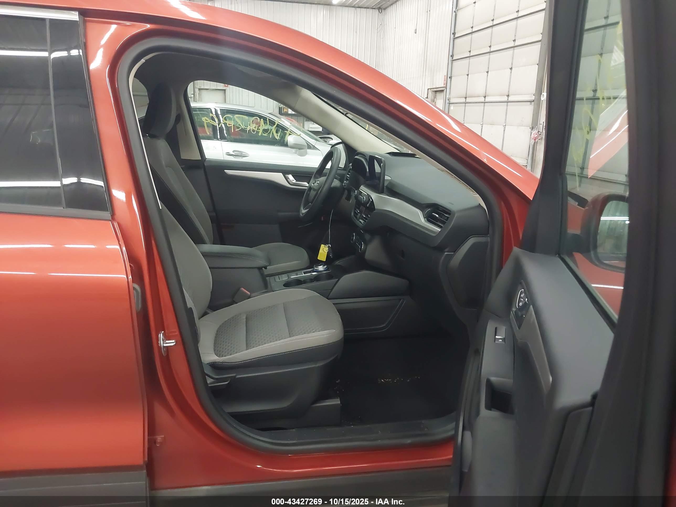 FORD ESCAPE image 5