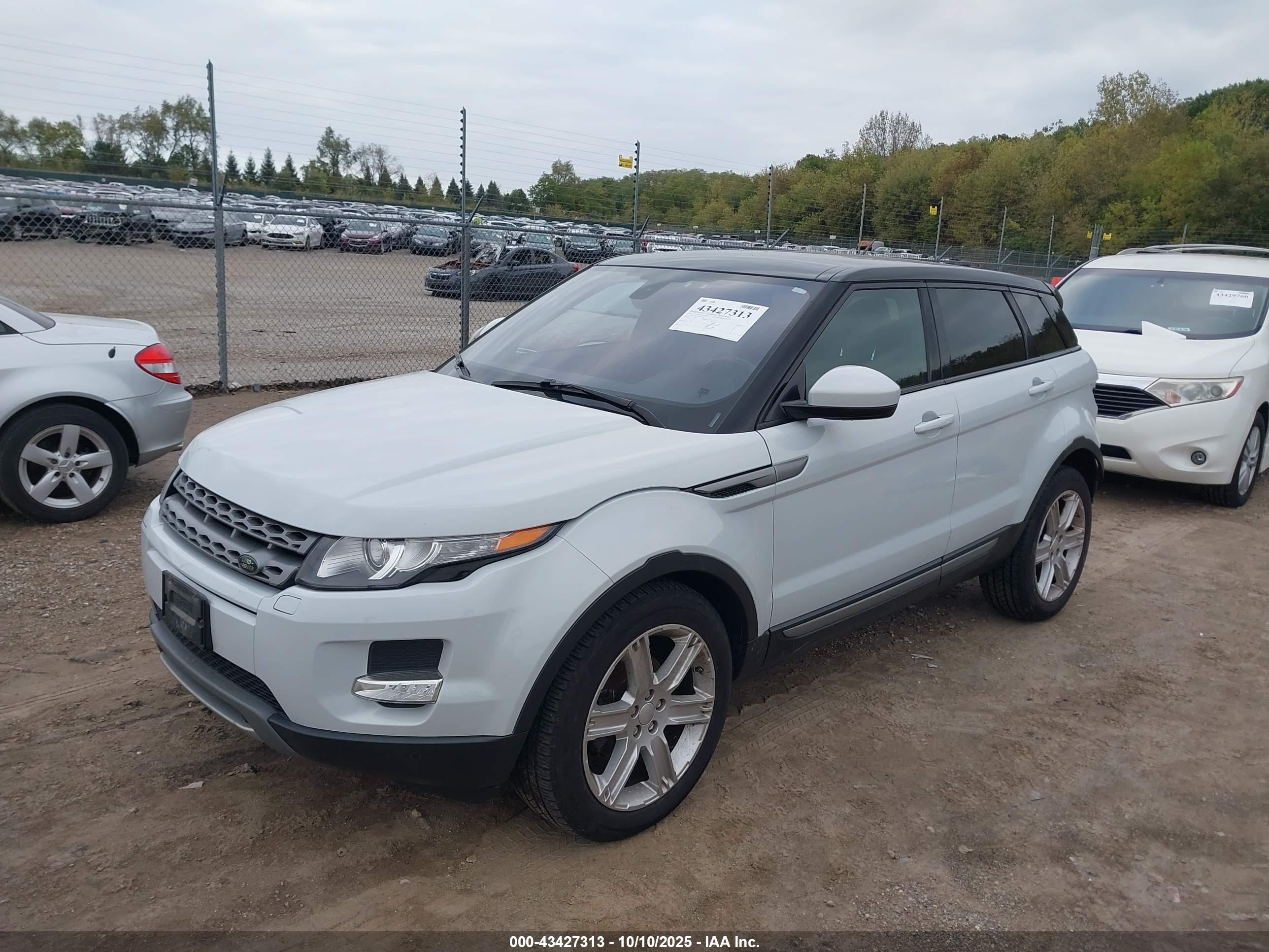 LAND ROVER image 2