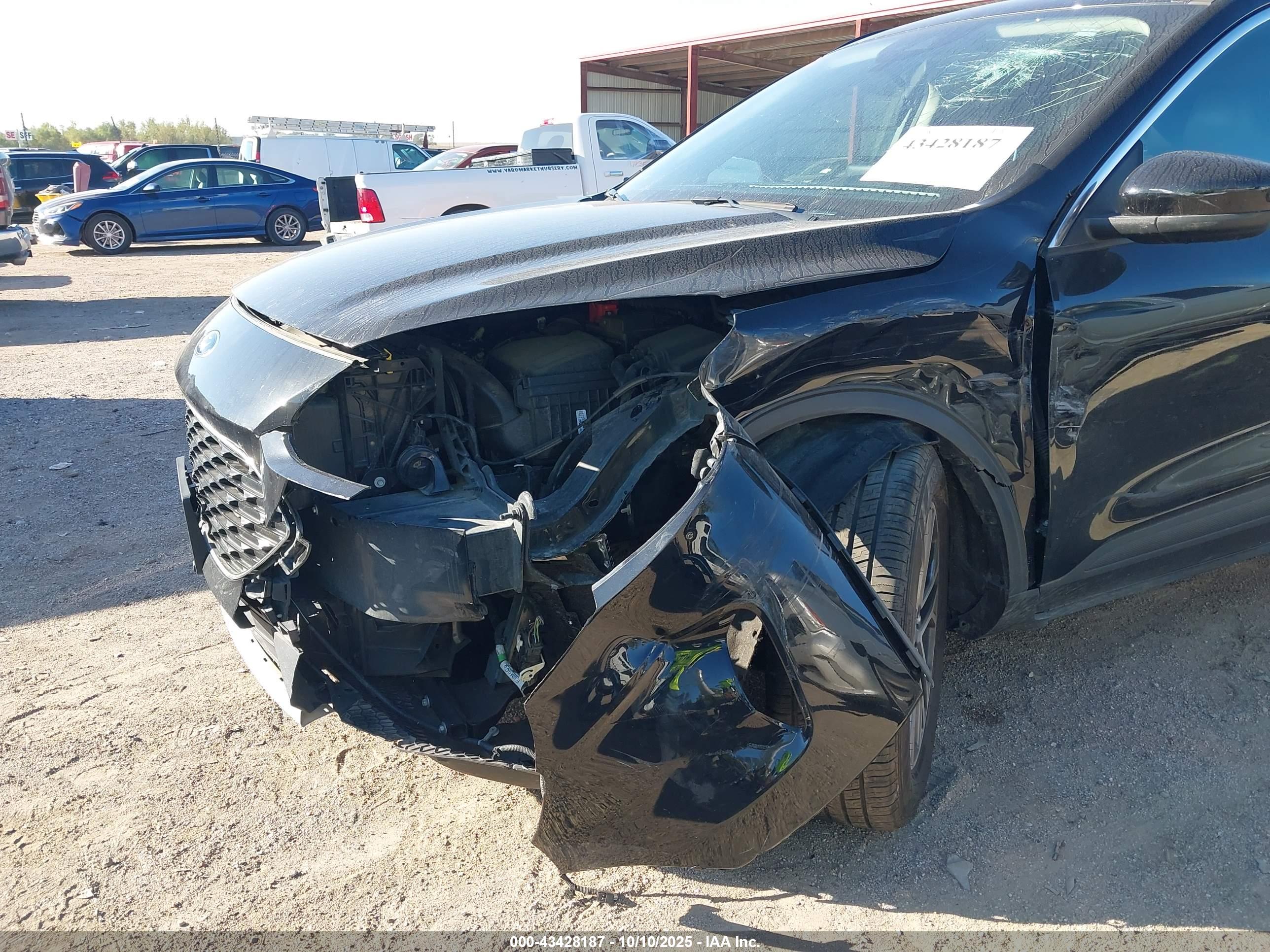FORD ESCAPE image 6