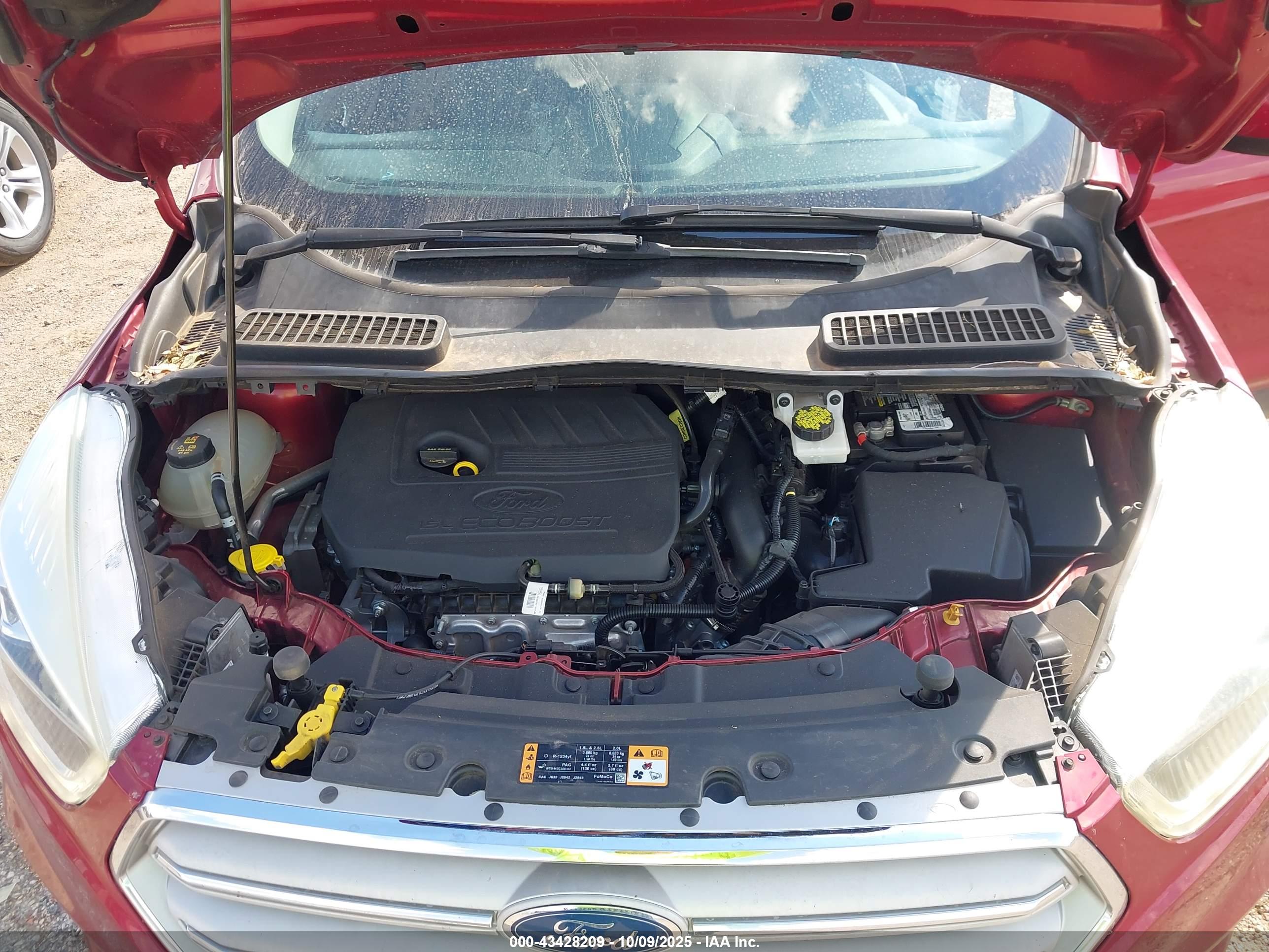 FORD ESCAPE image 10