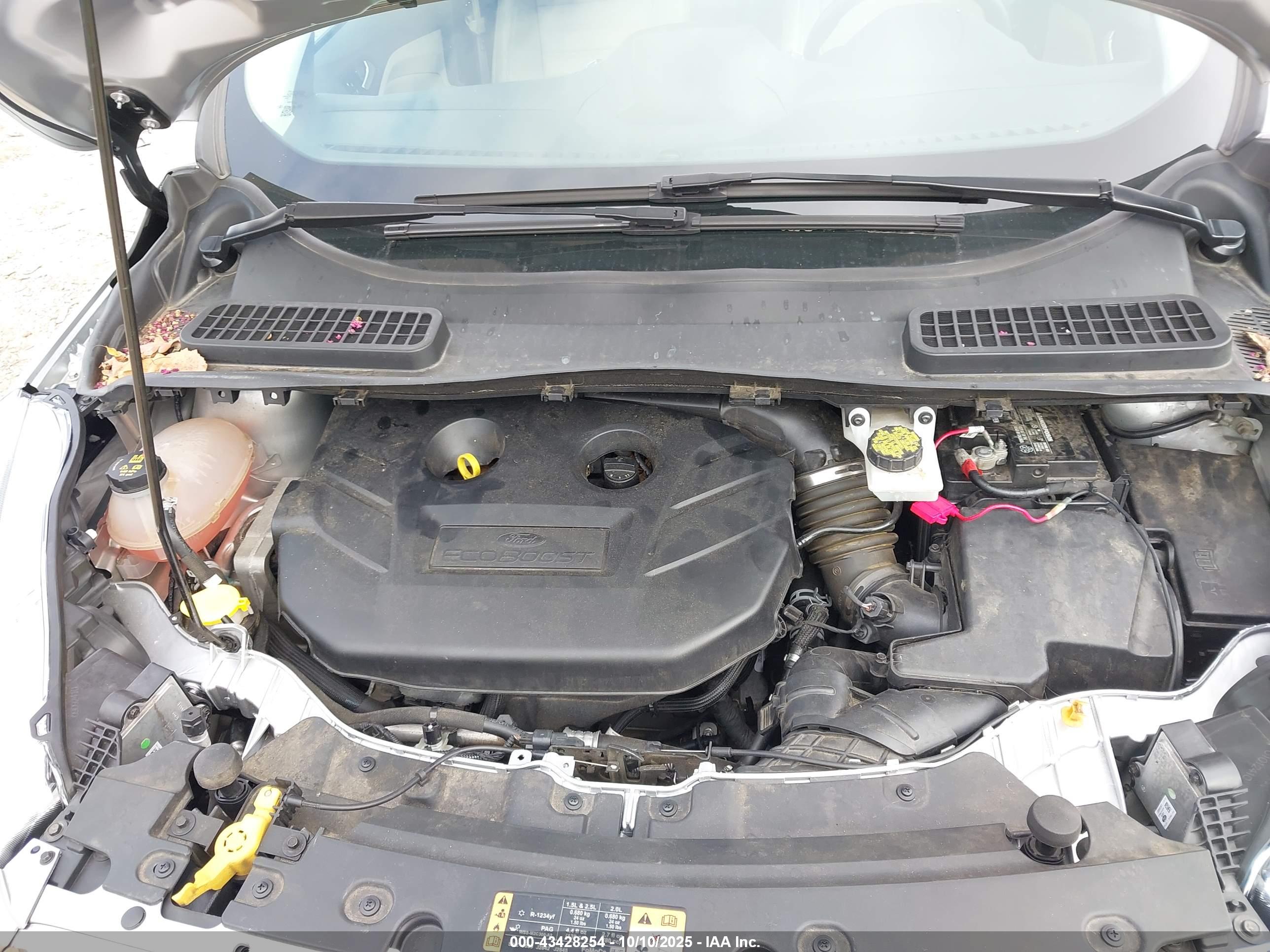 FORD ESCAPE image 10