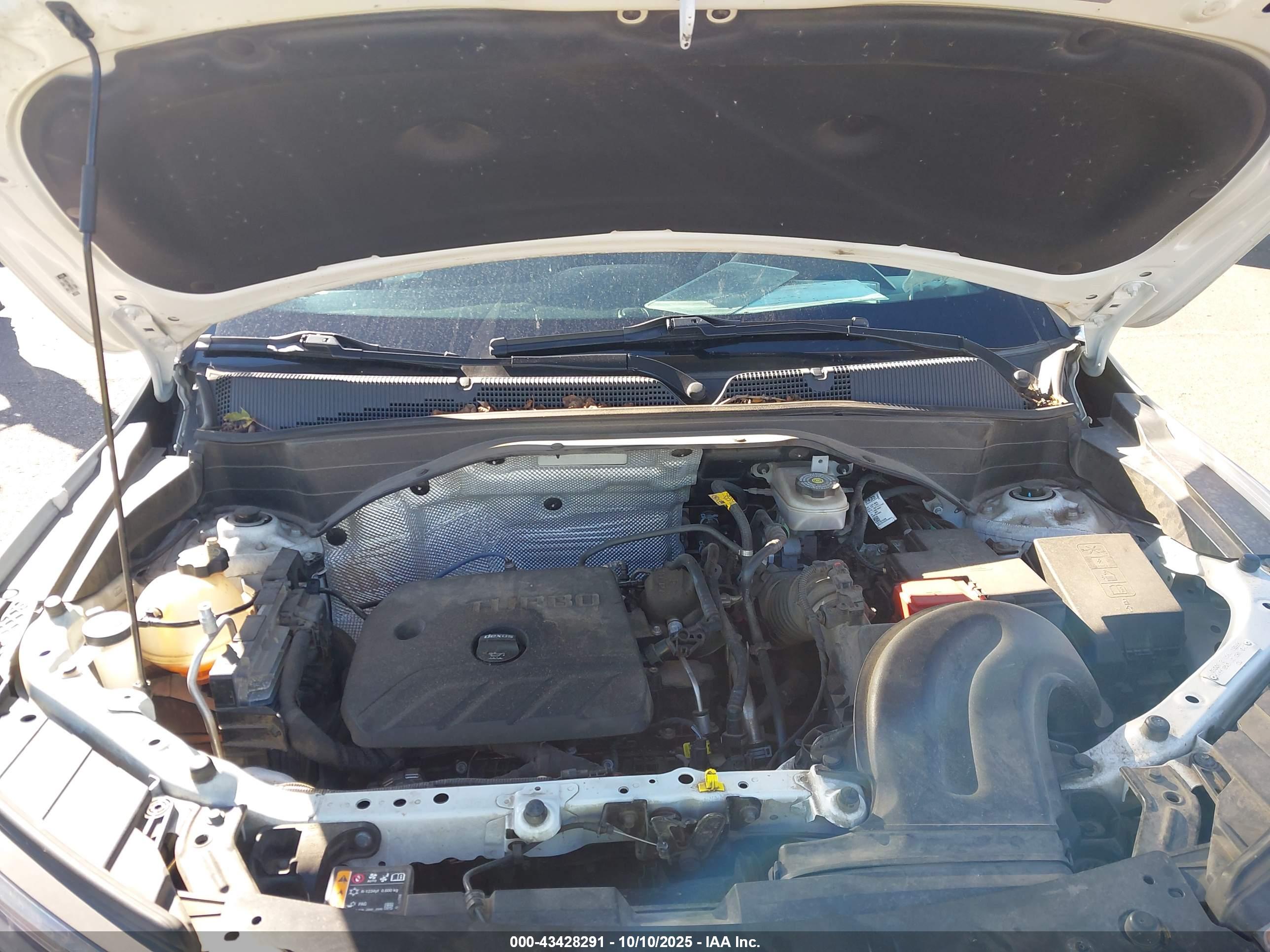 CHEVROLET TRAILBLAZER image 10
