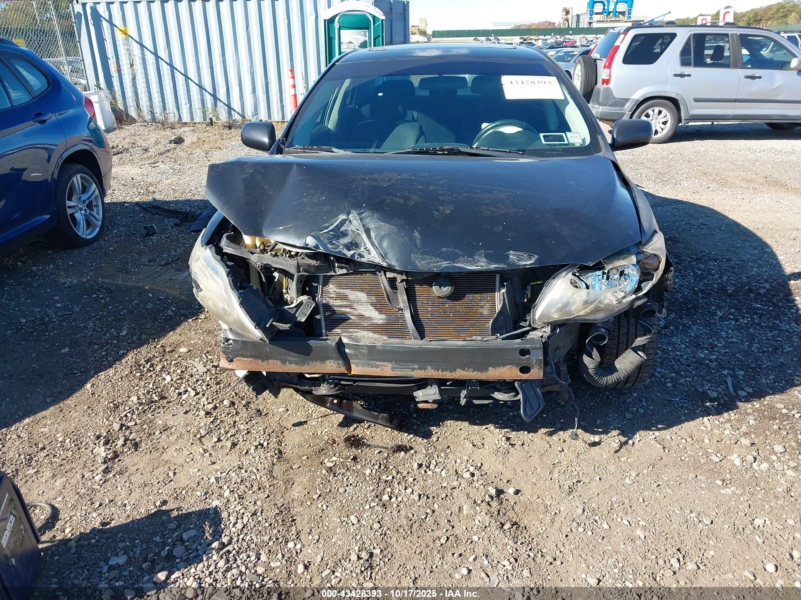 TOYOTA COROLLA image 6