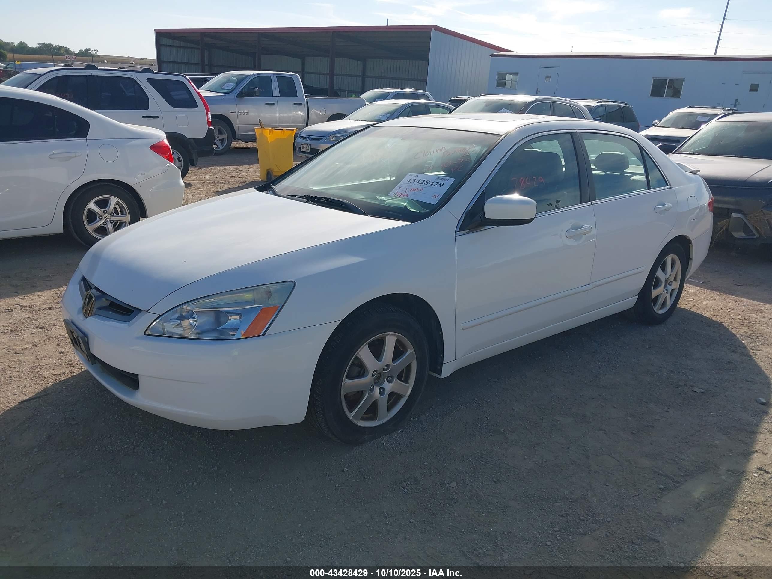 HONDA ACCORD image 2