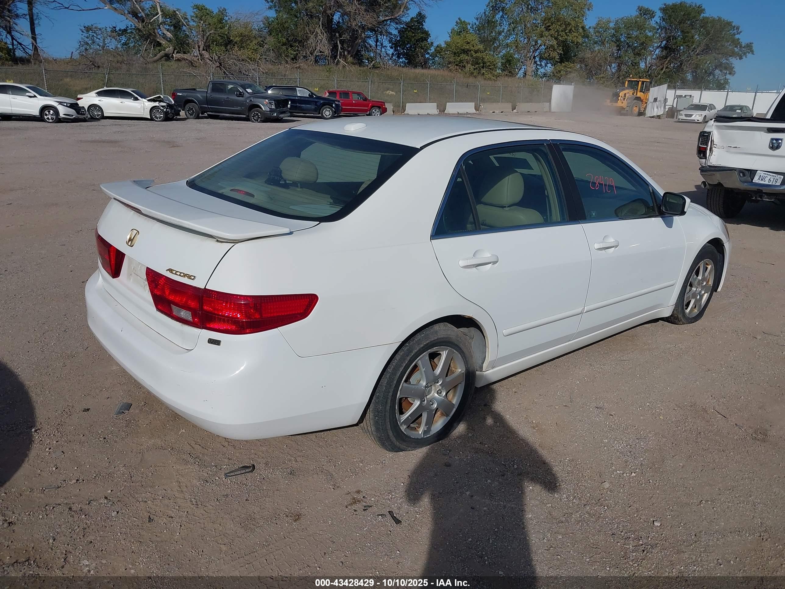 HONDA ACCORD image 4