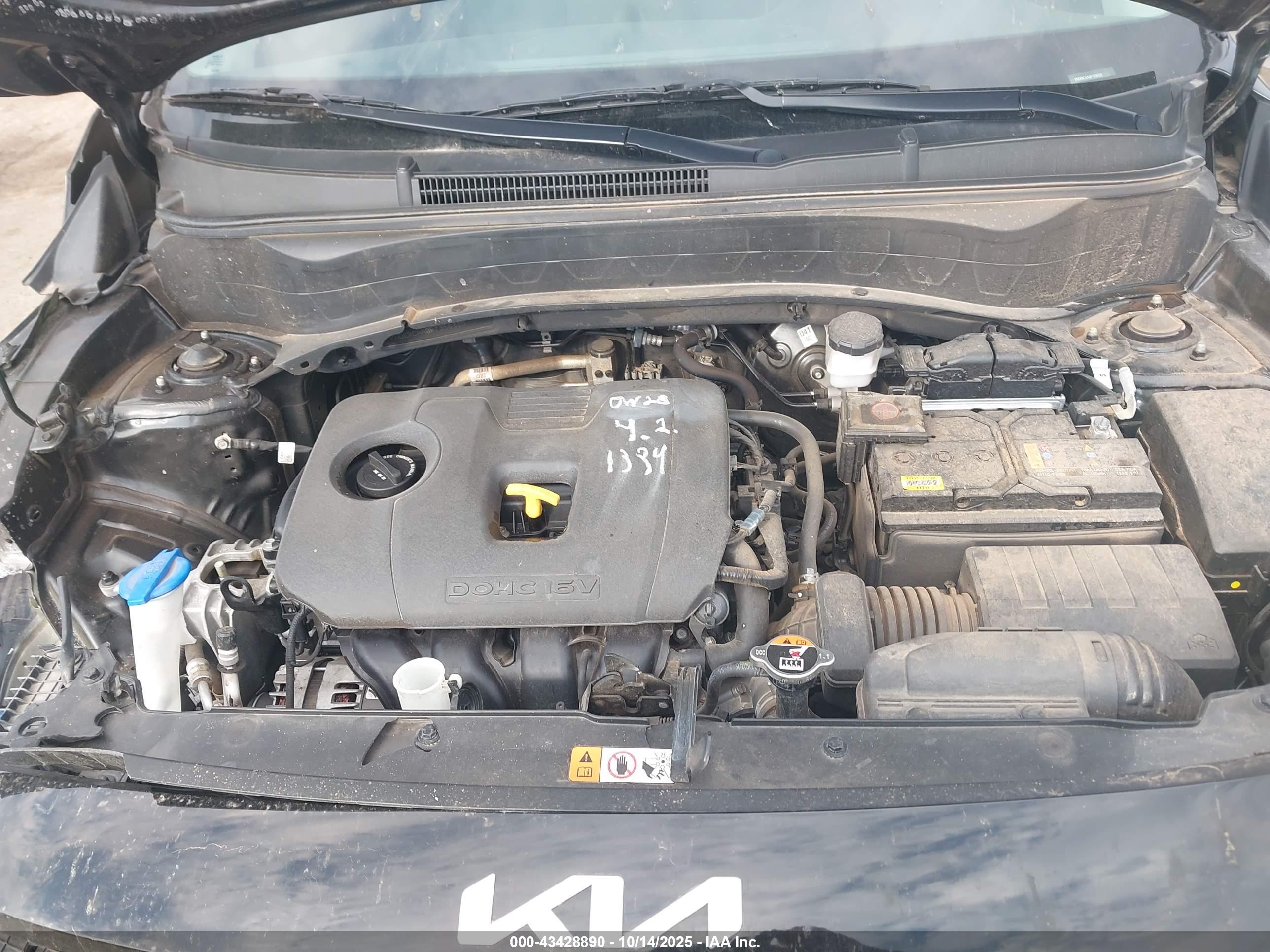 KIA SELTOS image 10