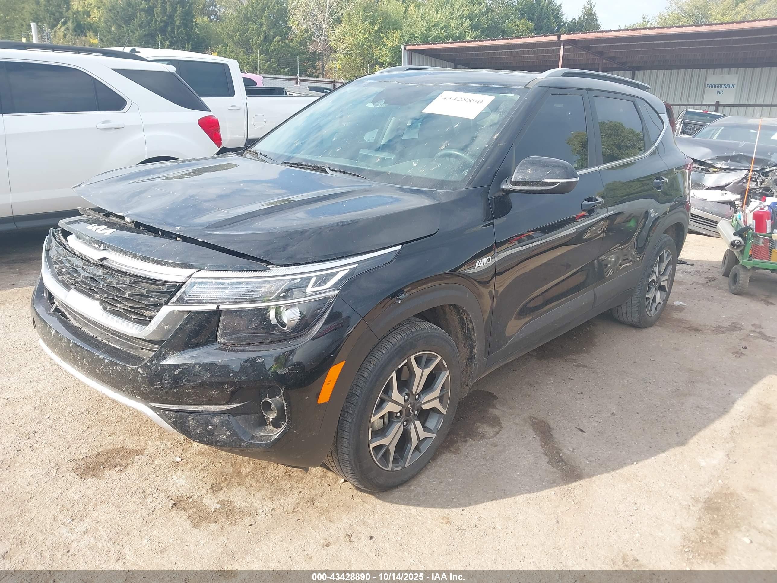 KIA SELTOS image 2