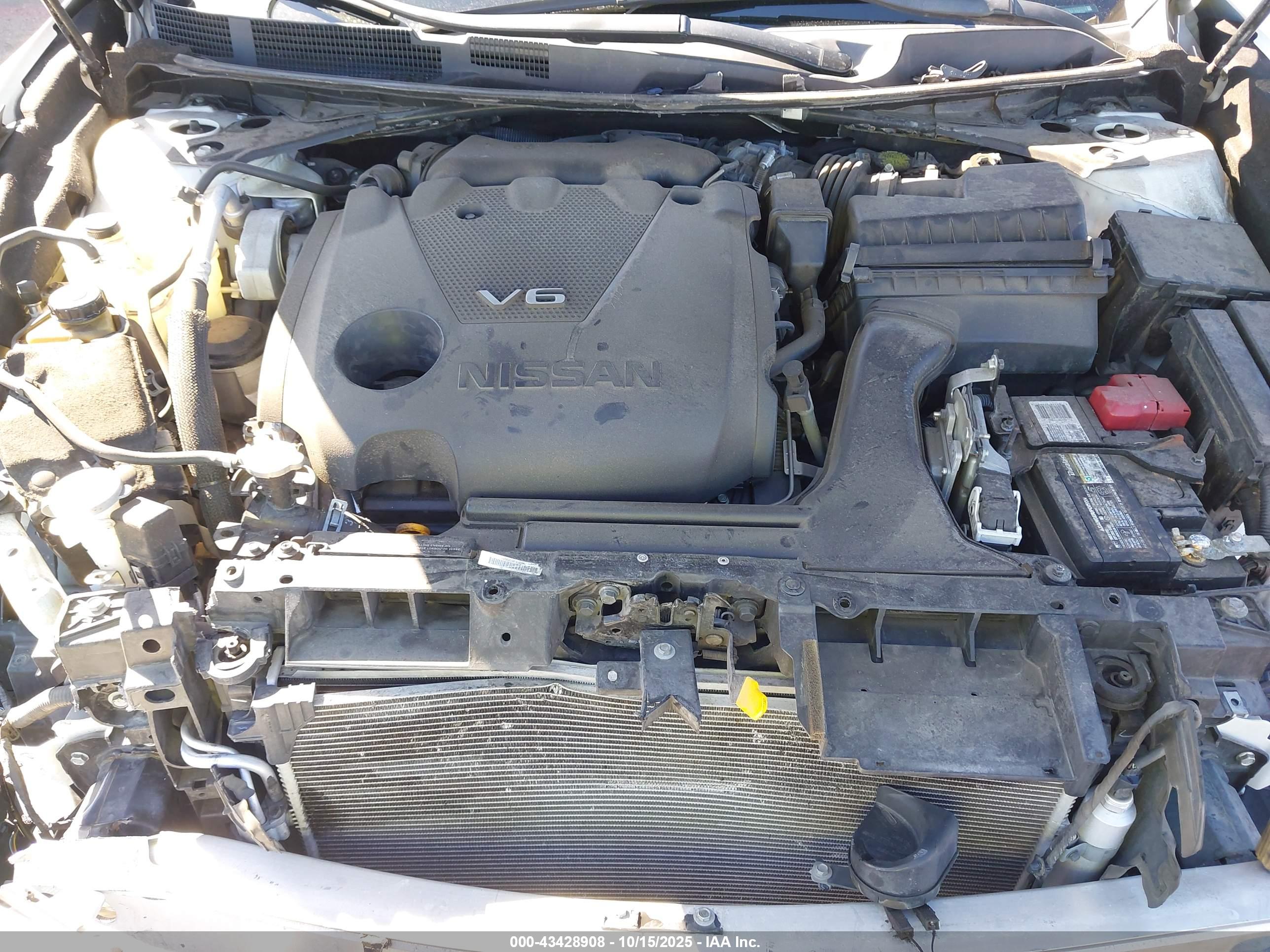 NISSAN MAXIMA image 10