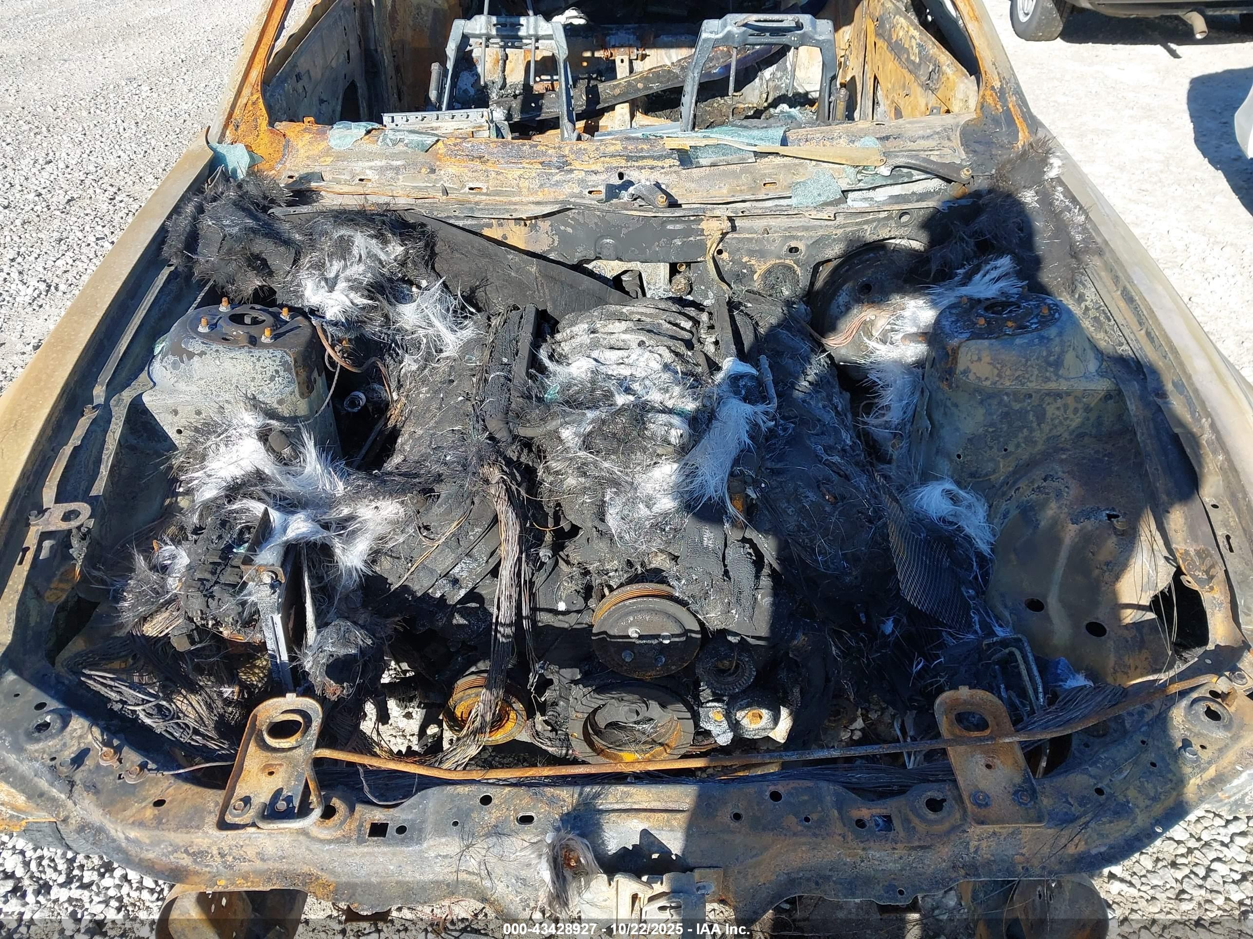FORD MUSTANG image 10