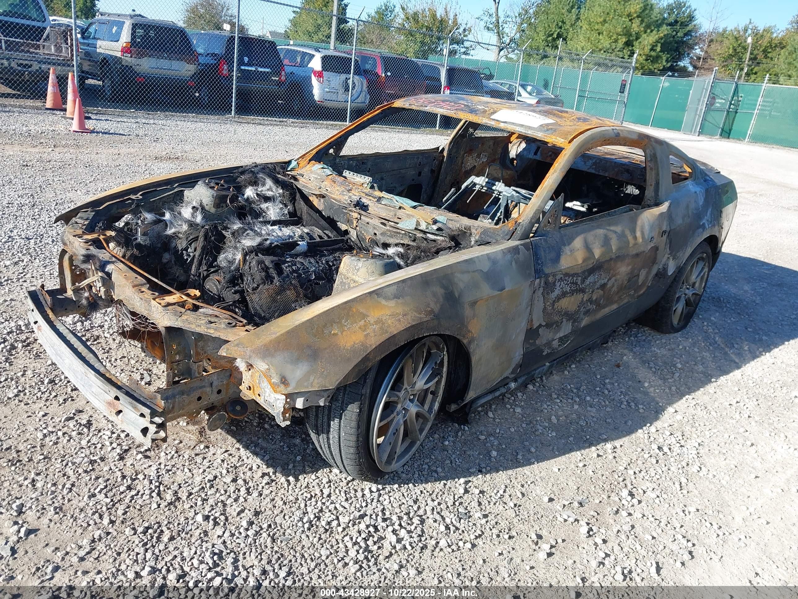 FORD MUSTANG image 2